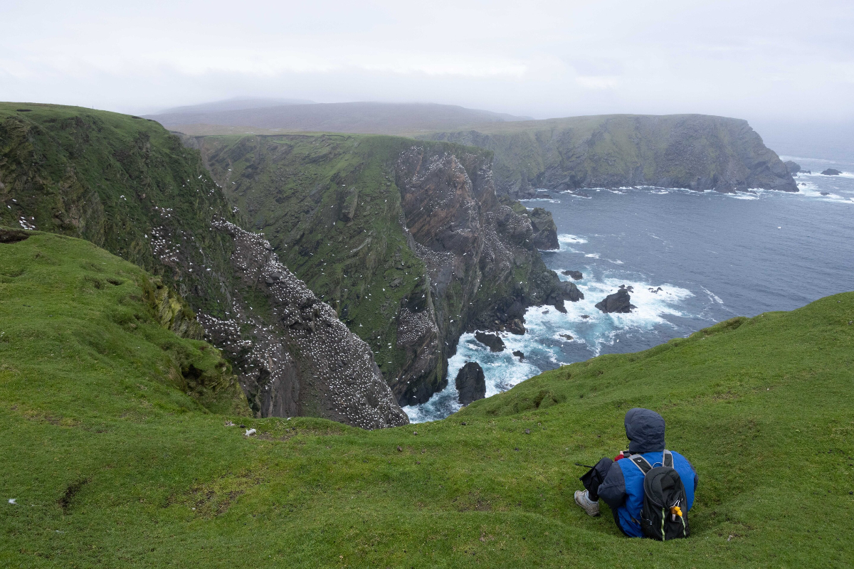 Passenger At Hermaness Scotland Michael Baynes