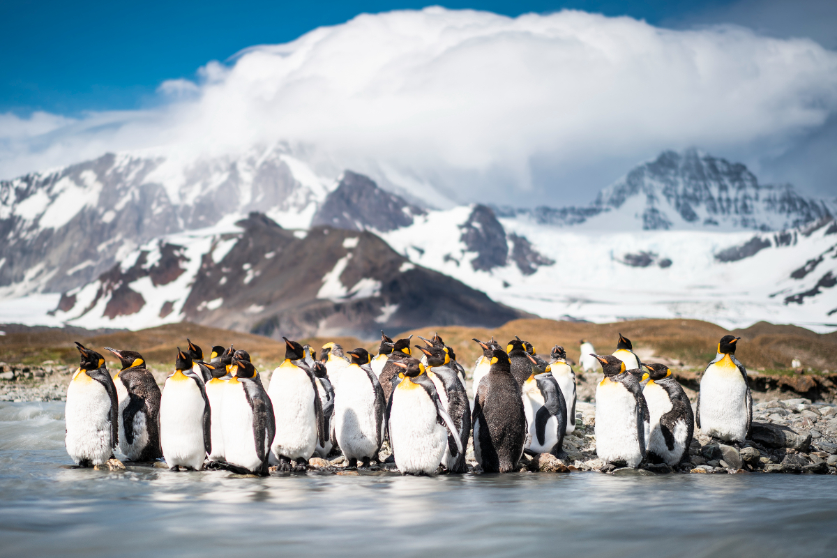 HANSEATIC Inspiration Antarctica