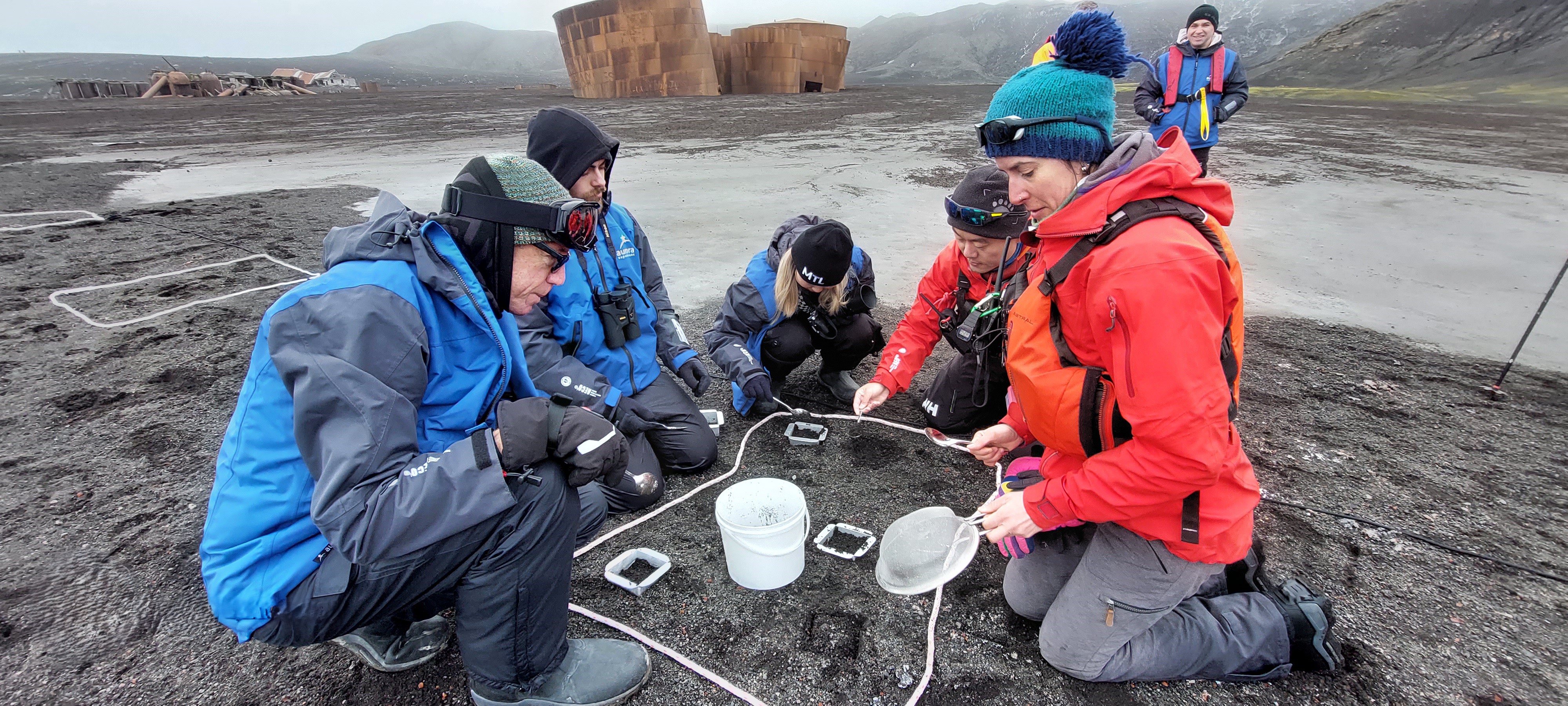 Happywhale And ExplorEarth