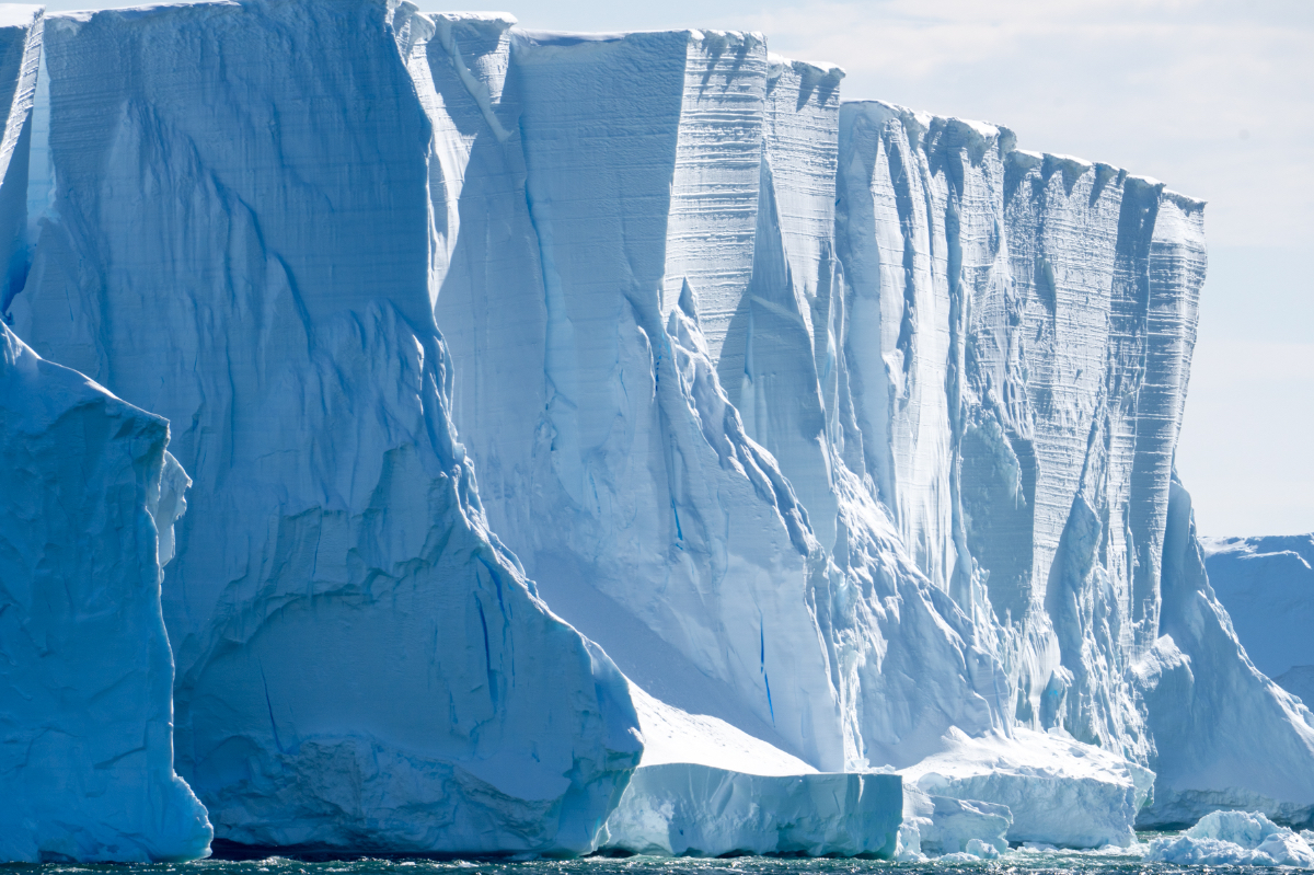 Antarctica Icebergs 1441