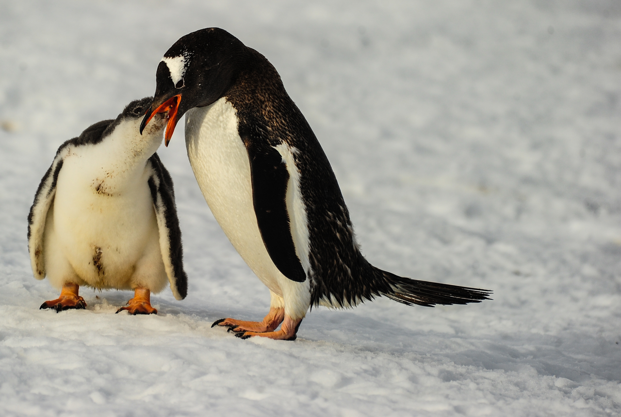 Contact Us ExplorEarth