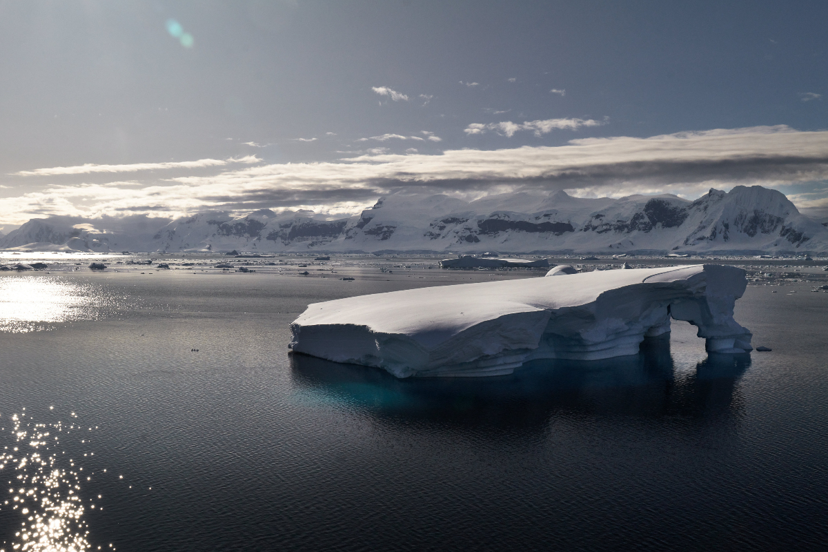 Antarctica Swan Hellenic