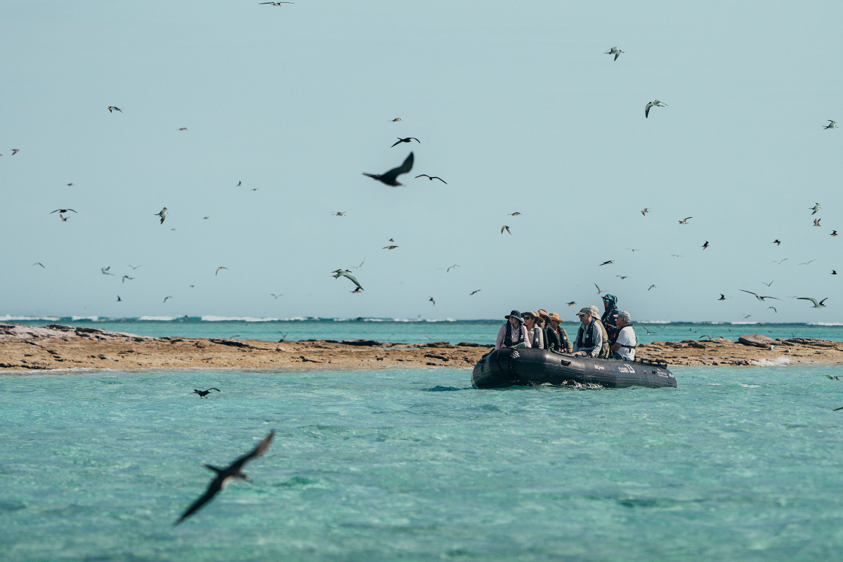 SSC Ashmore Reef Silversea