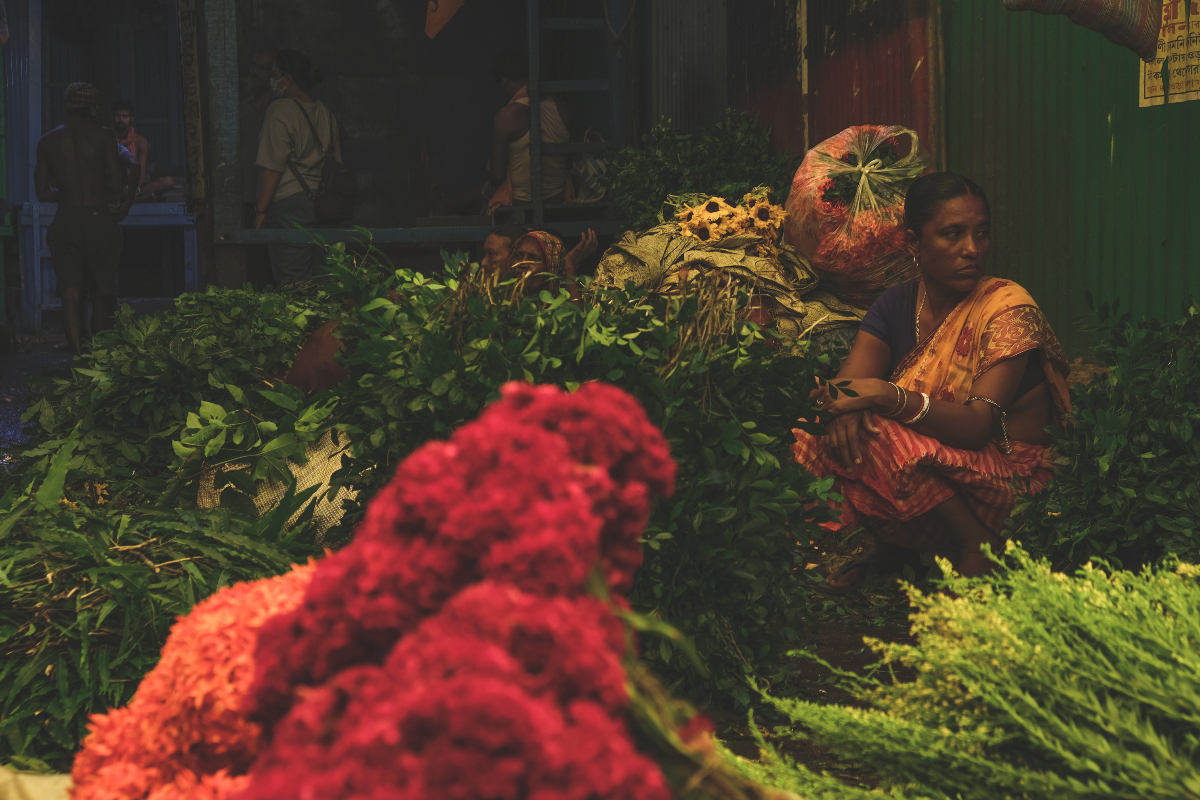 Kolkata Excursion Antara