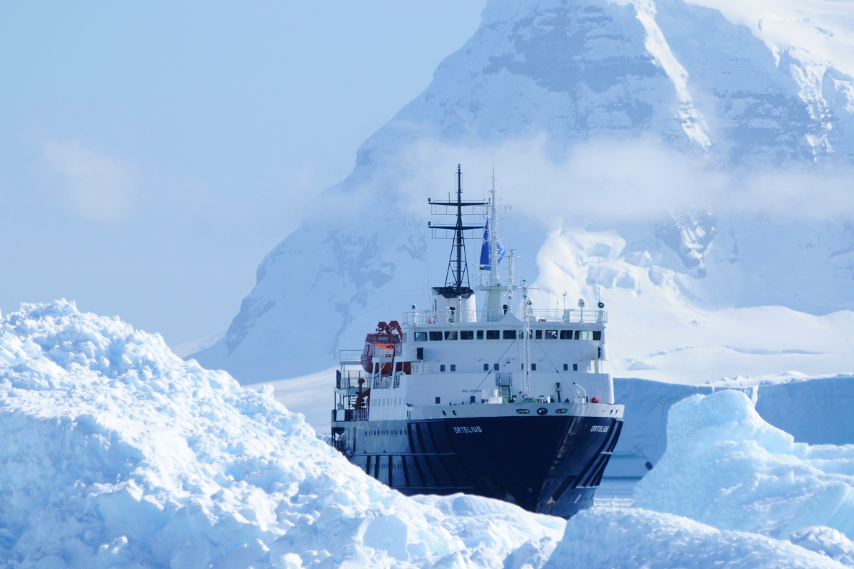 Ortelius At Cuverville Antarctica