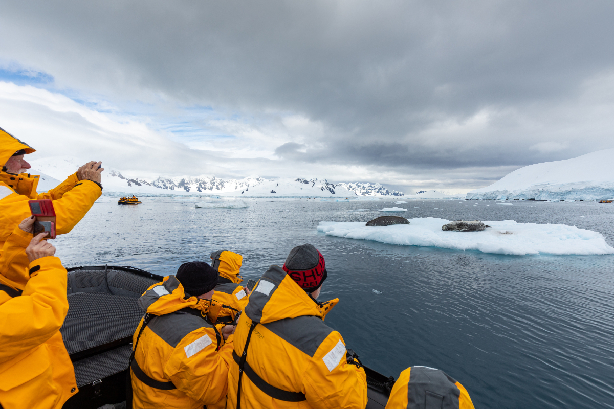 Passengers With Wildlife Quark Expeditions Michellesole