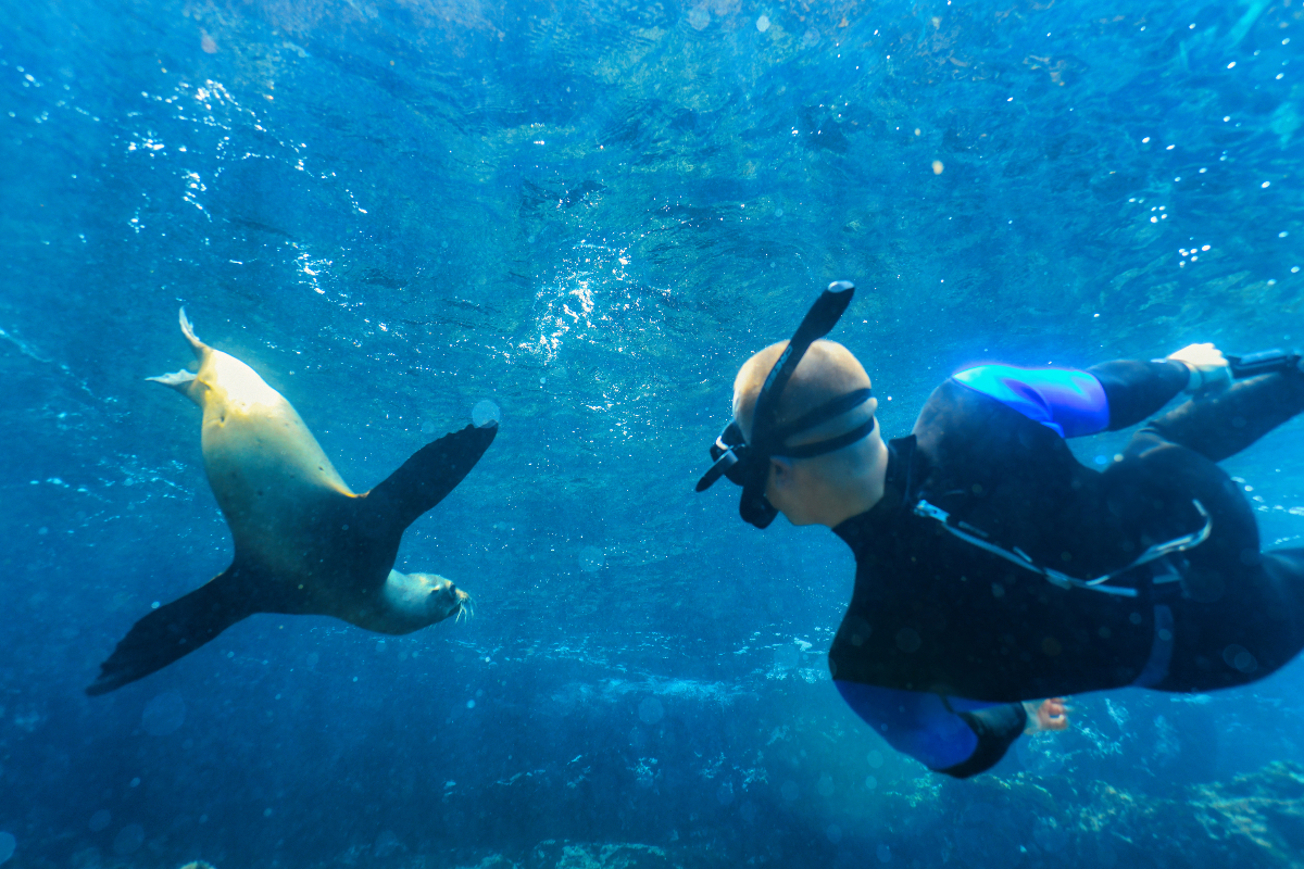 LEX Ecuador Galapagos Islands Champion Islet