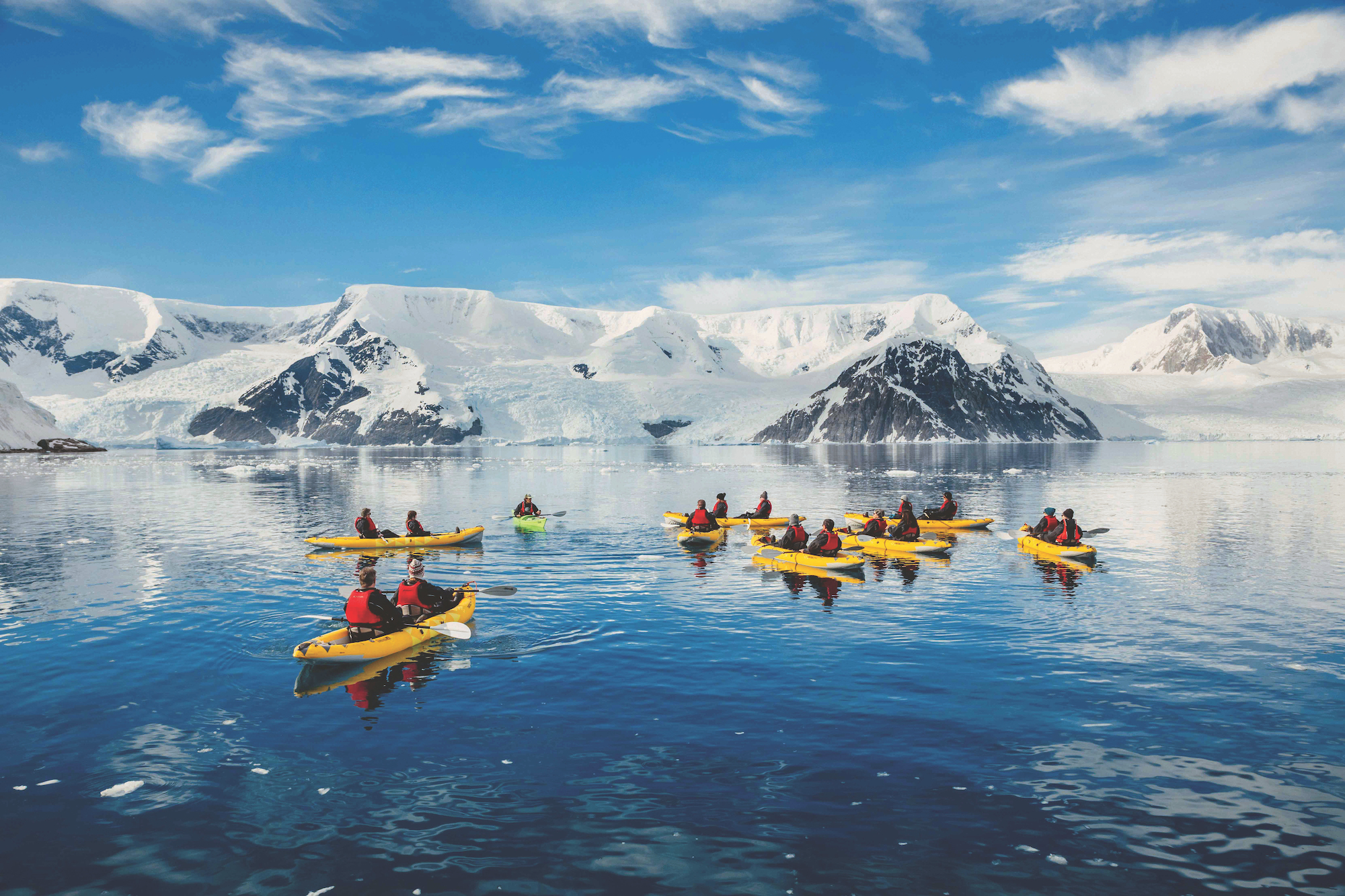 Aov Antarctica Kayakers