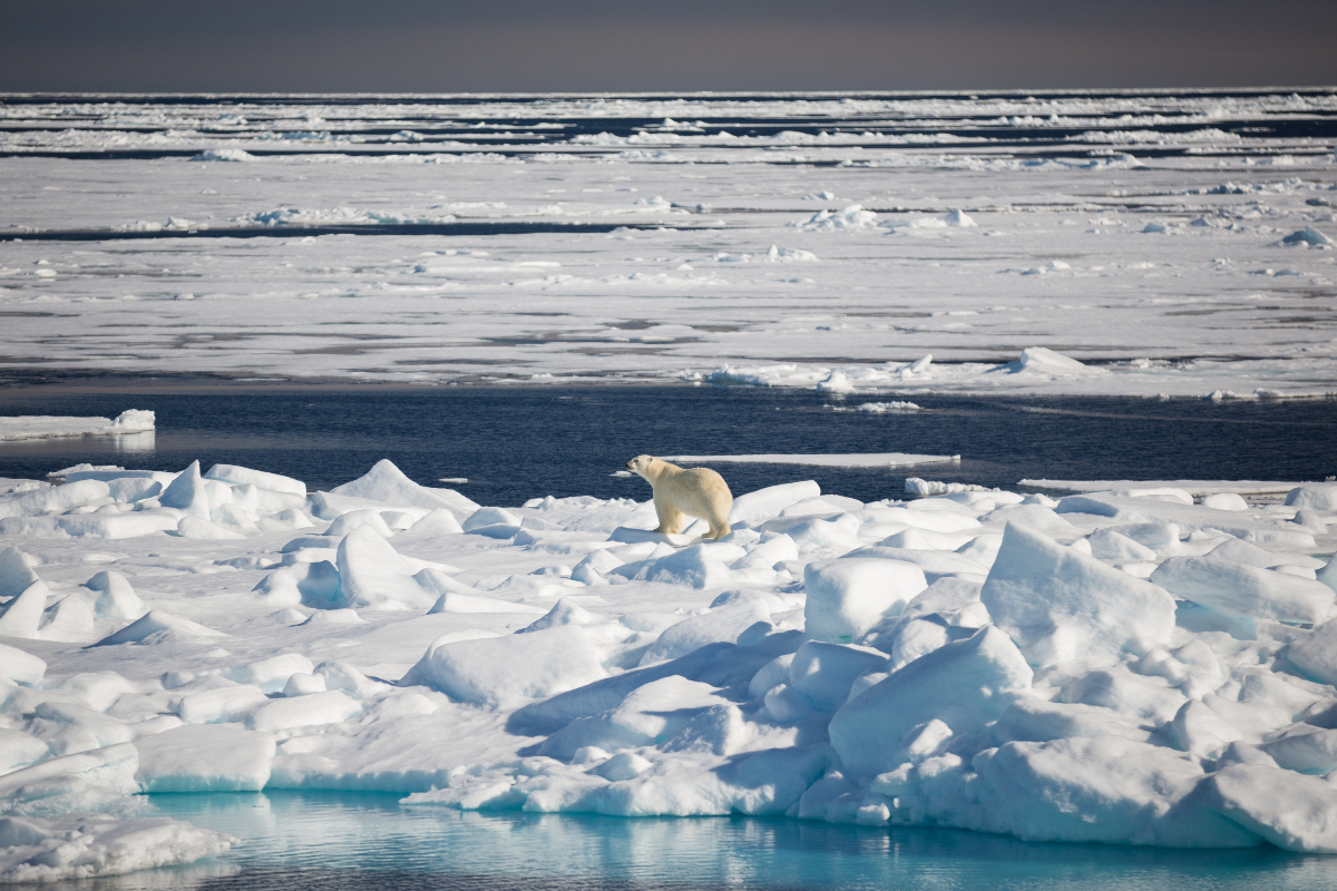 Quark Expeditions Svalbard Acaciajohnson