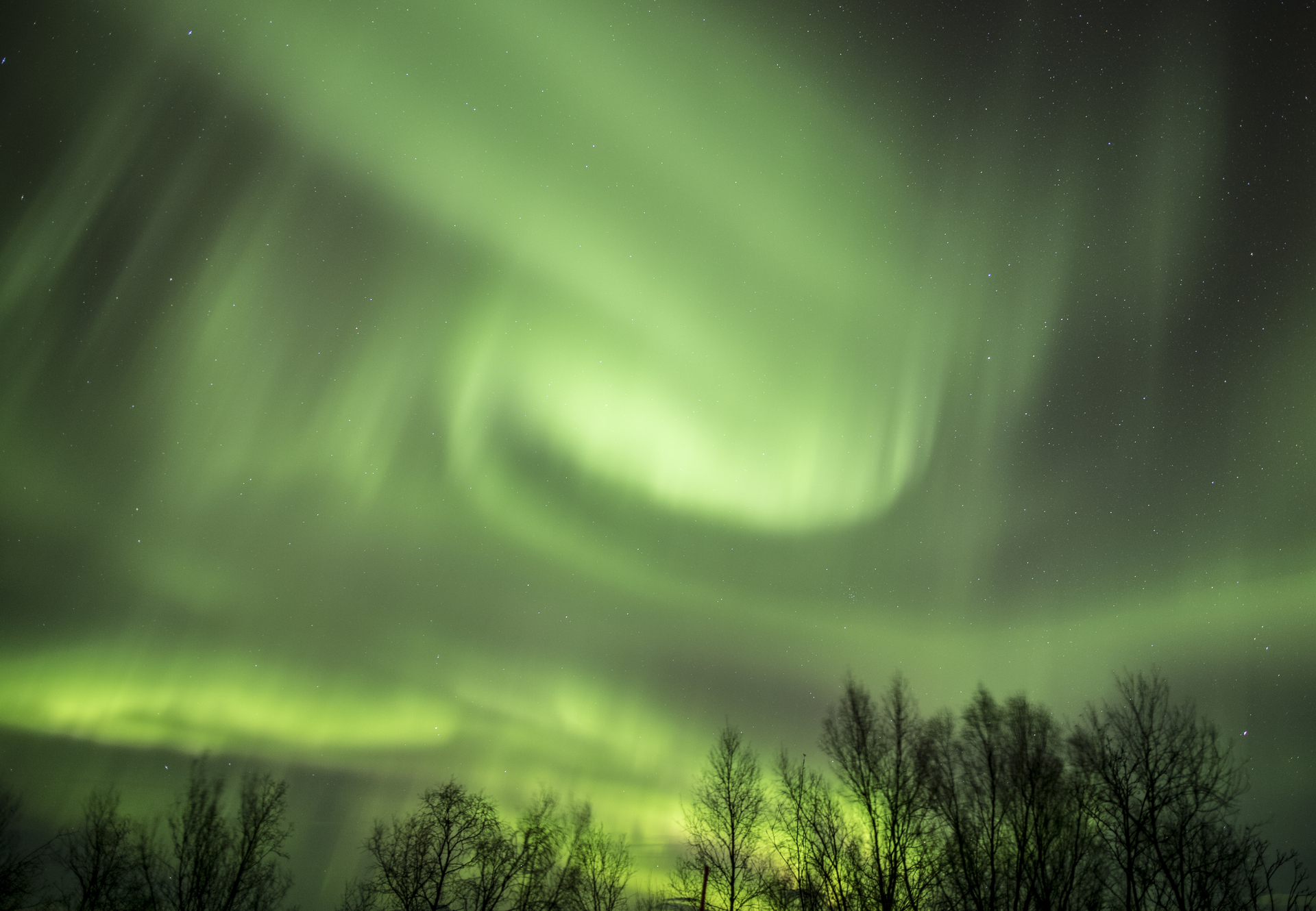 Northern Lights Viewing Rosie B Wild (9)