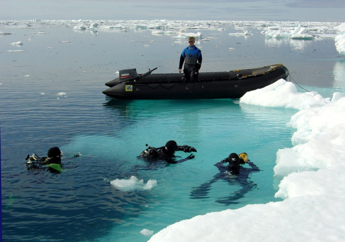 Scuba diving on an Oceanwide expedition