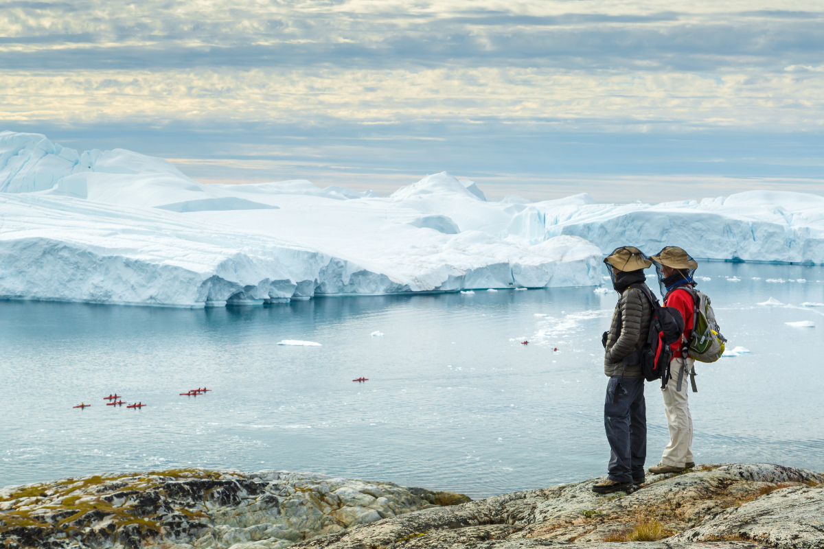 Icebergs And People Disko Bay Albatros Expeditions
