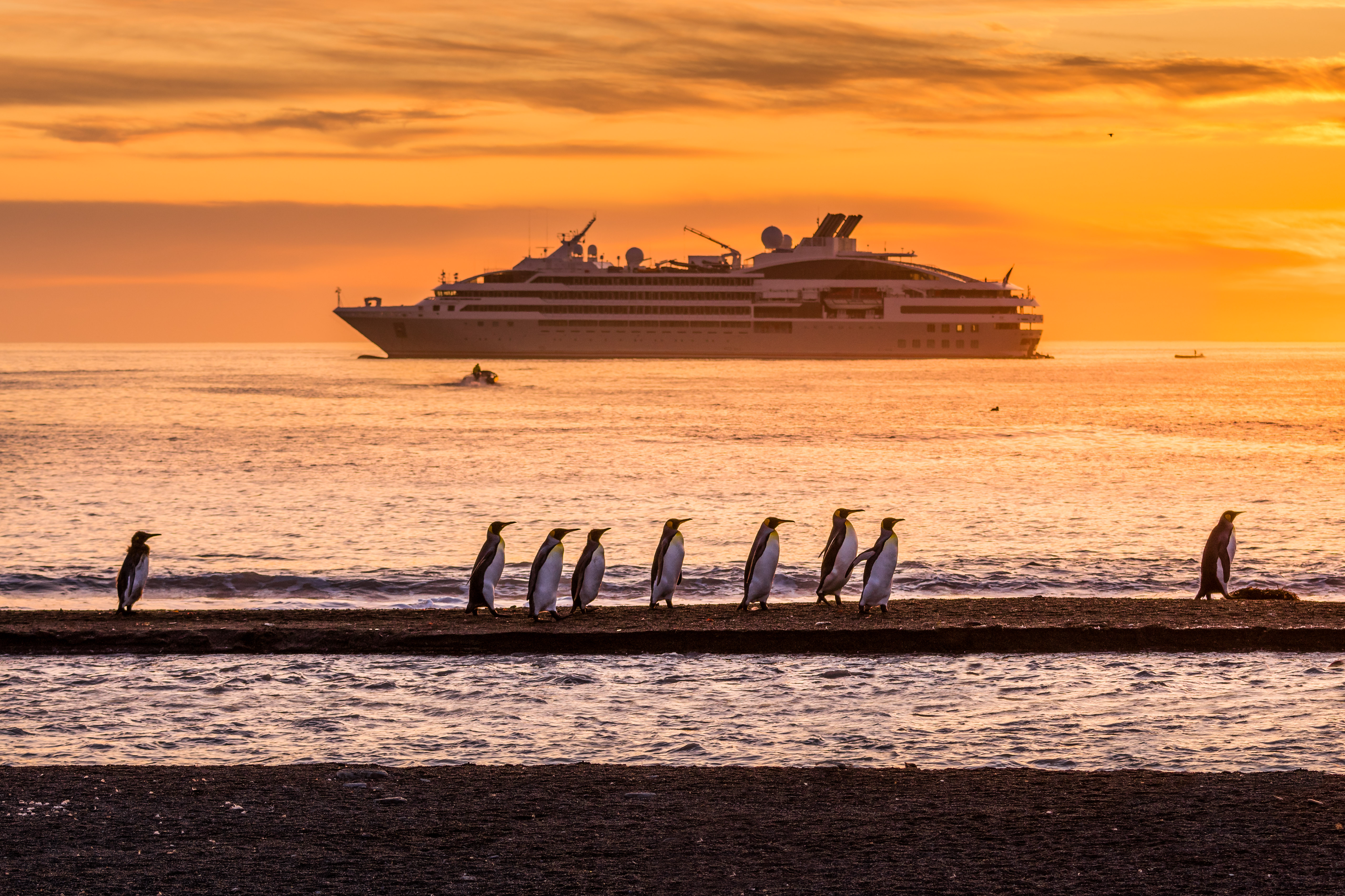 Le Lyrial a boutique expedition ship with 11 Zodiacs, eco-friendly design, and balcony suites for exploring polar and Mediterranean destinations. Golden Hour St Andrews, Géorgie du Sud©Studio Ponant Olivier Blaud