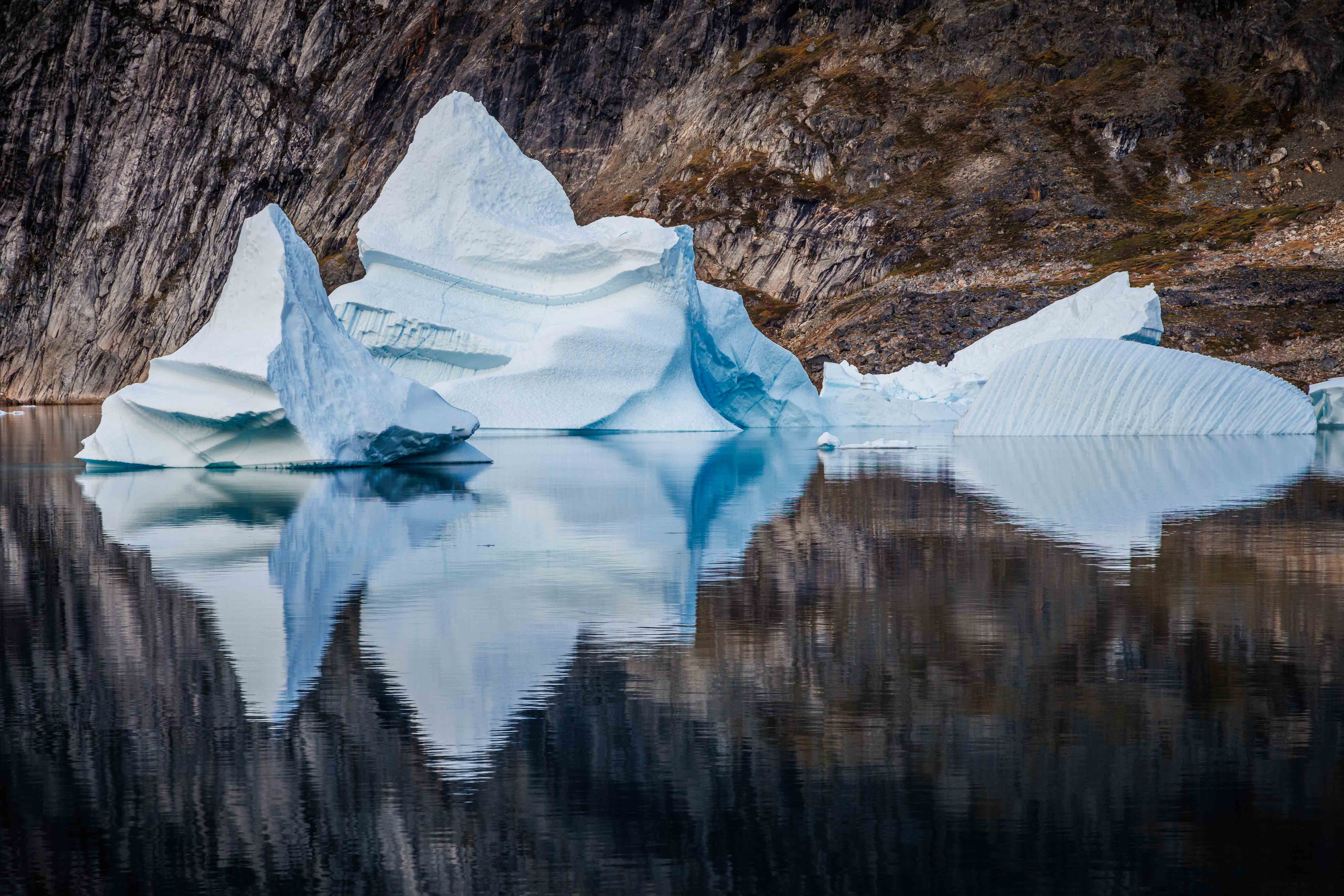 Dronning Marie Dal Greenland Albatros Expeditions
