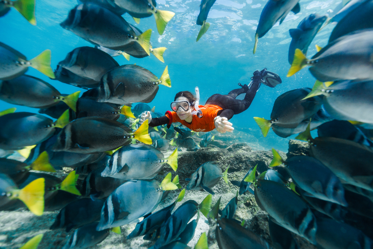 LEX Ecuador Galapagos Islands Snorkelling