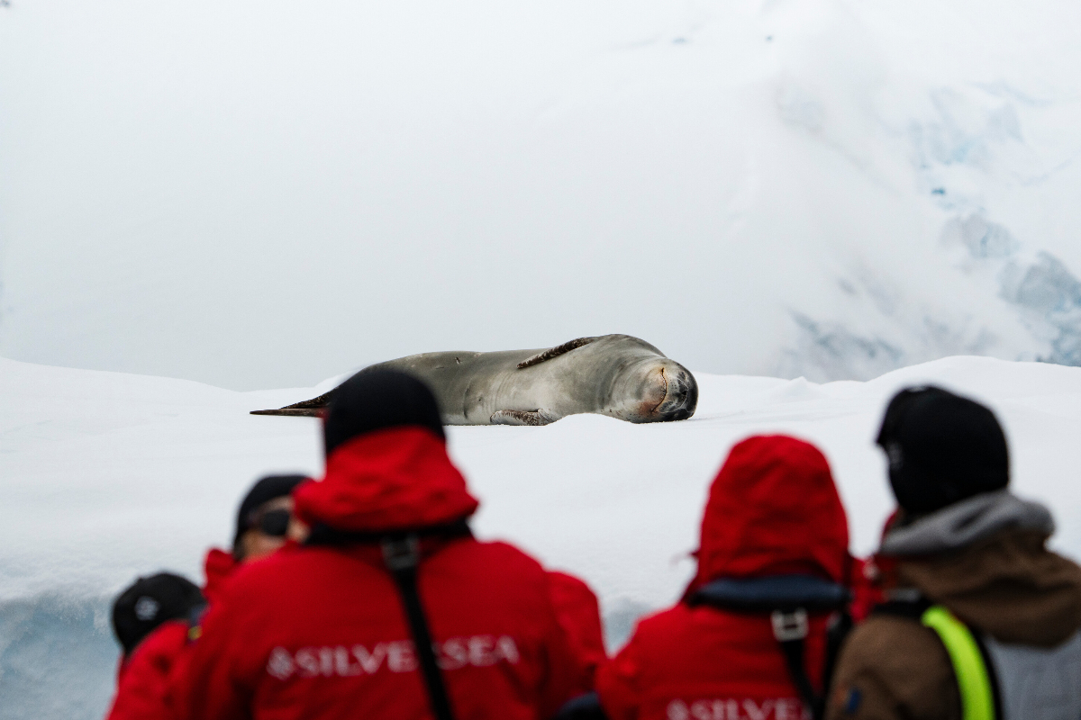 Silversea Antarctica Zodiac