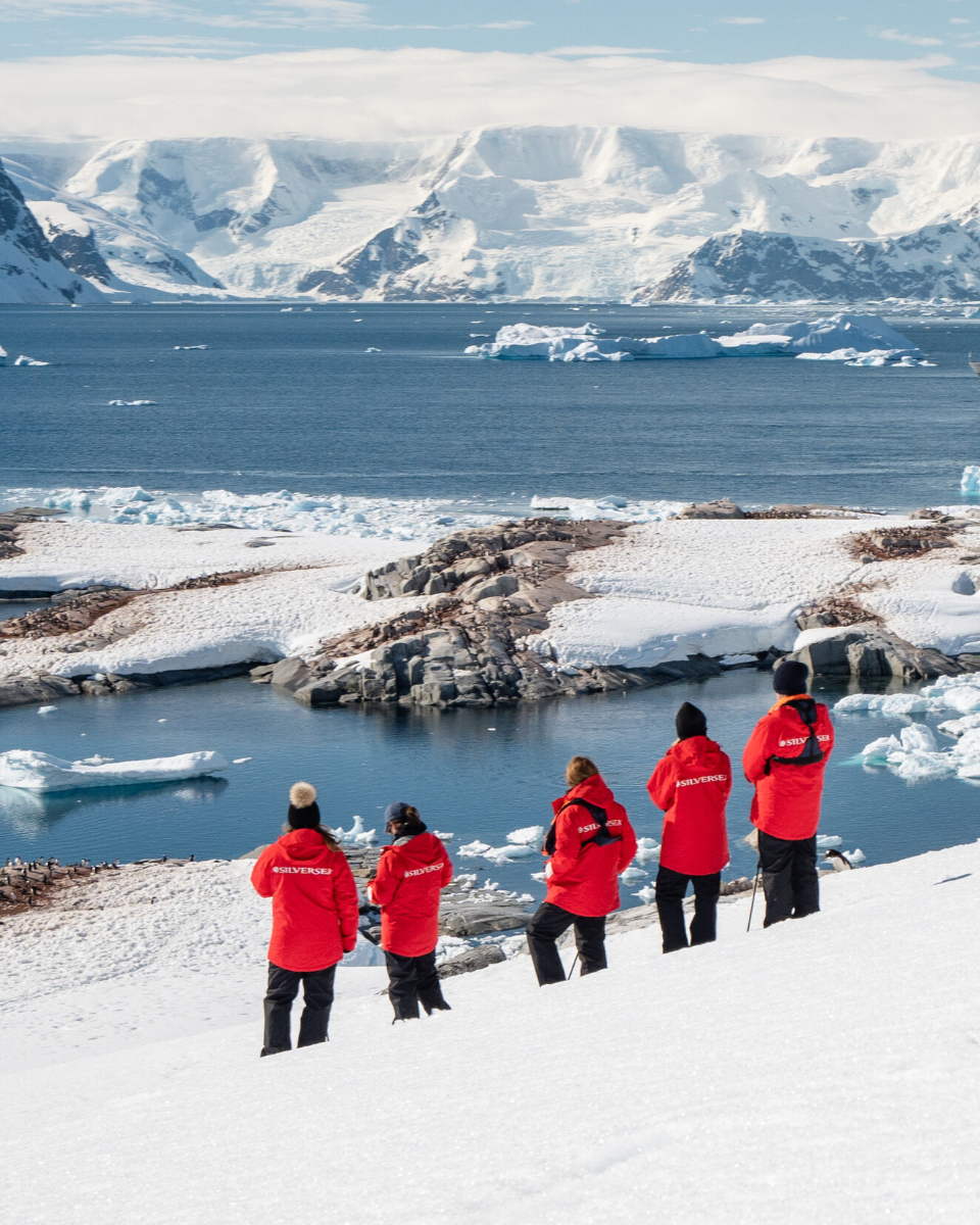 Silver Endeavour in Antarctica at Neko Harbour