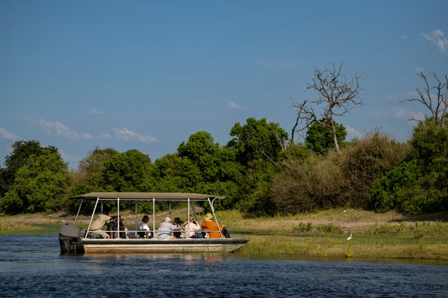 Zambezi Queen Bird Watching Photogam 4500