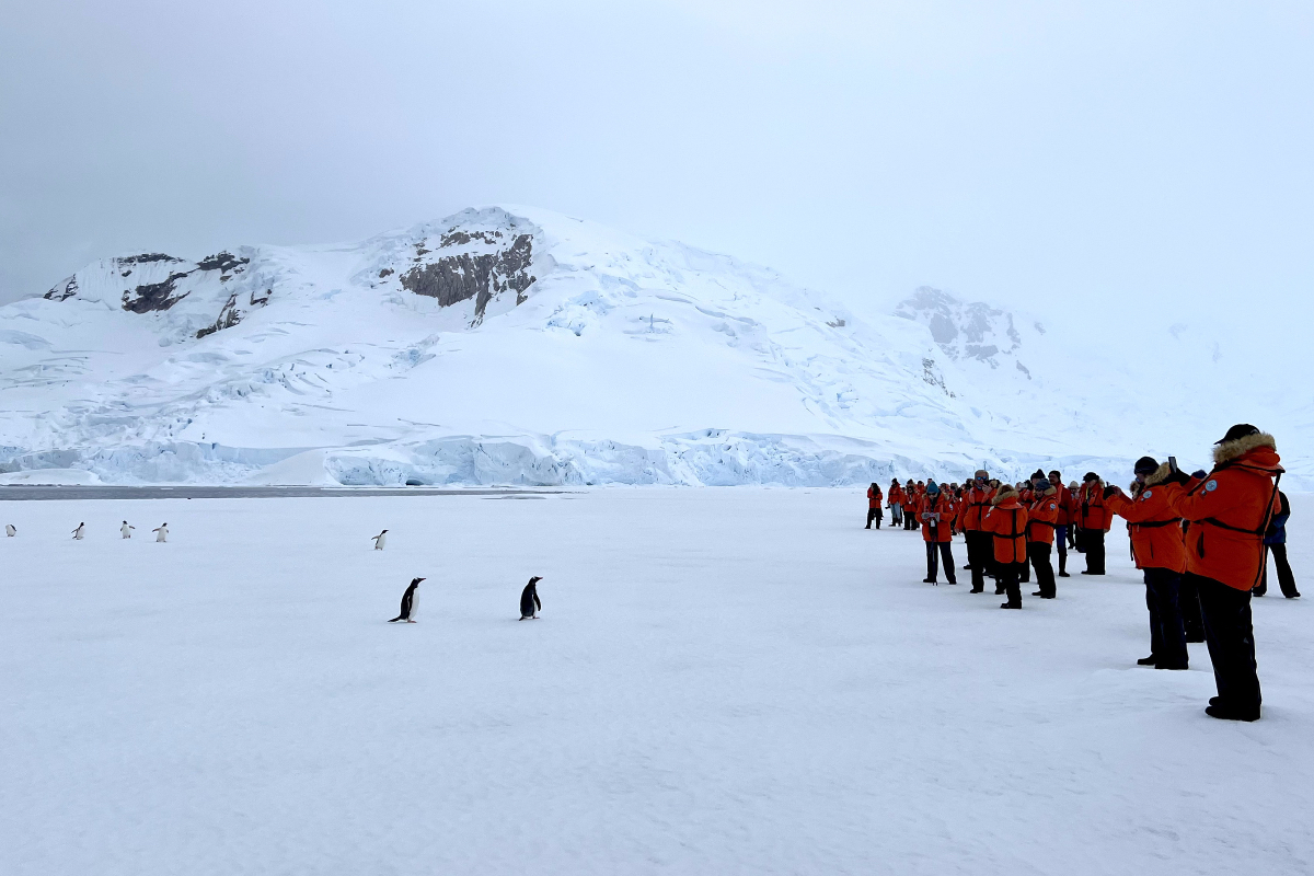 Antarctica Ice With Penguins 2375