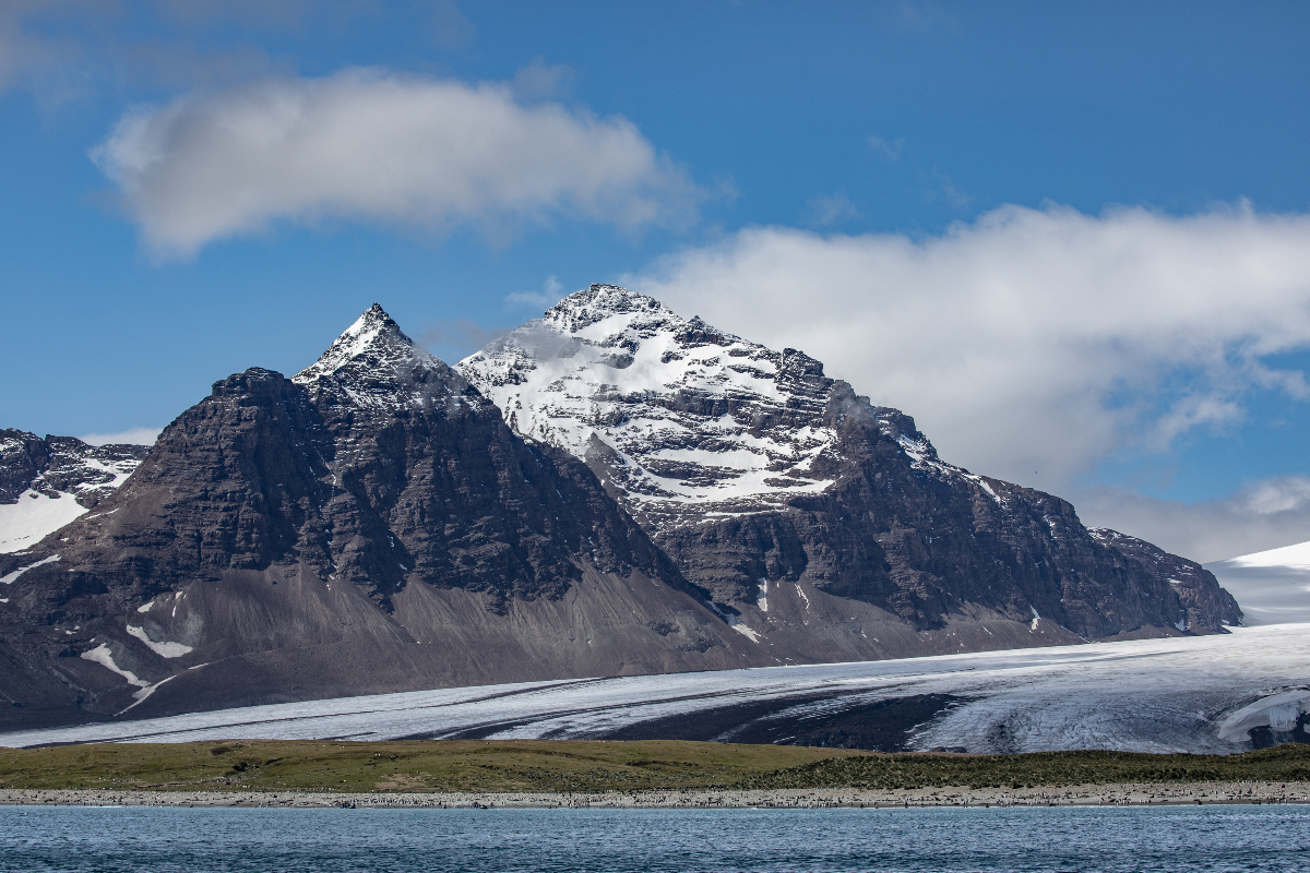 Salisbury Plain South Georgia Pia Harboure