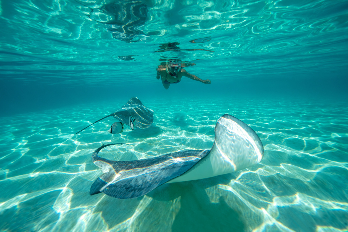 SSC Moorea Silversea