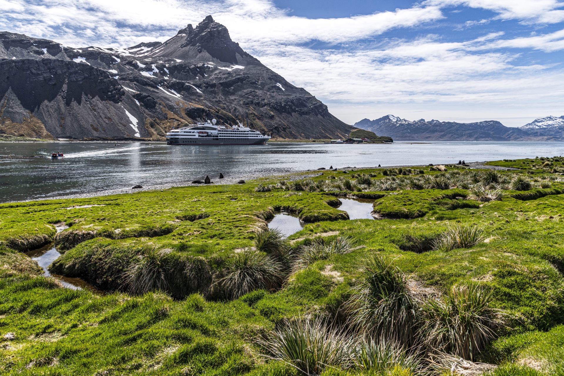 Grytviken Studioponant Alexandre Herbrecht 1290