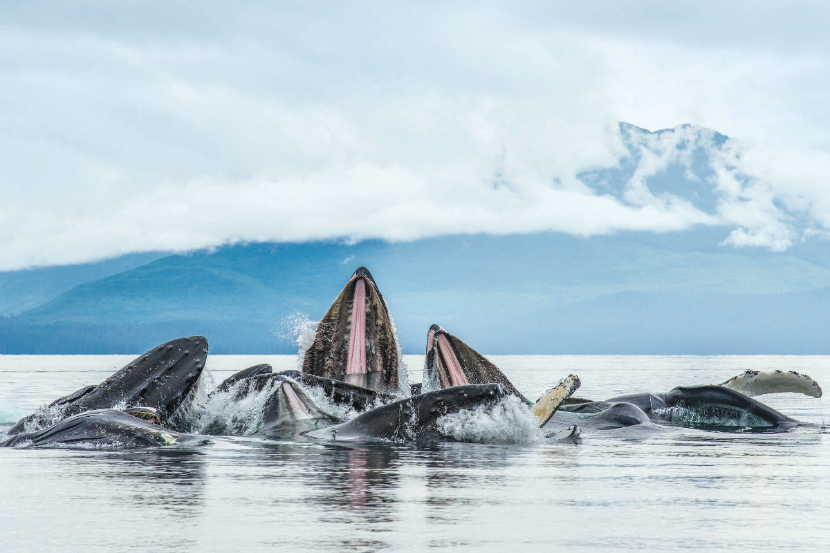 LEX US Southeast Alaska