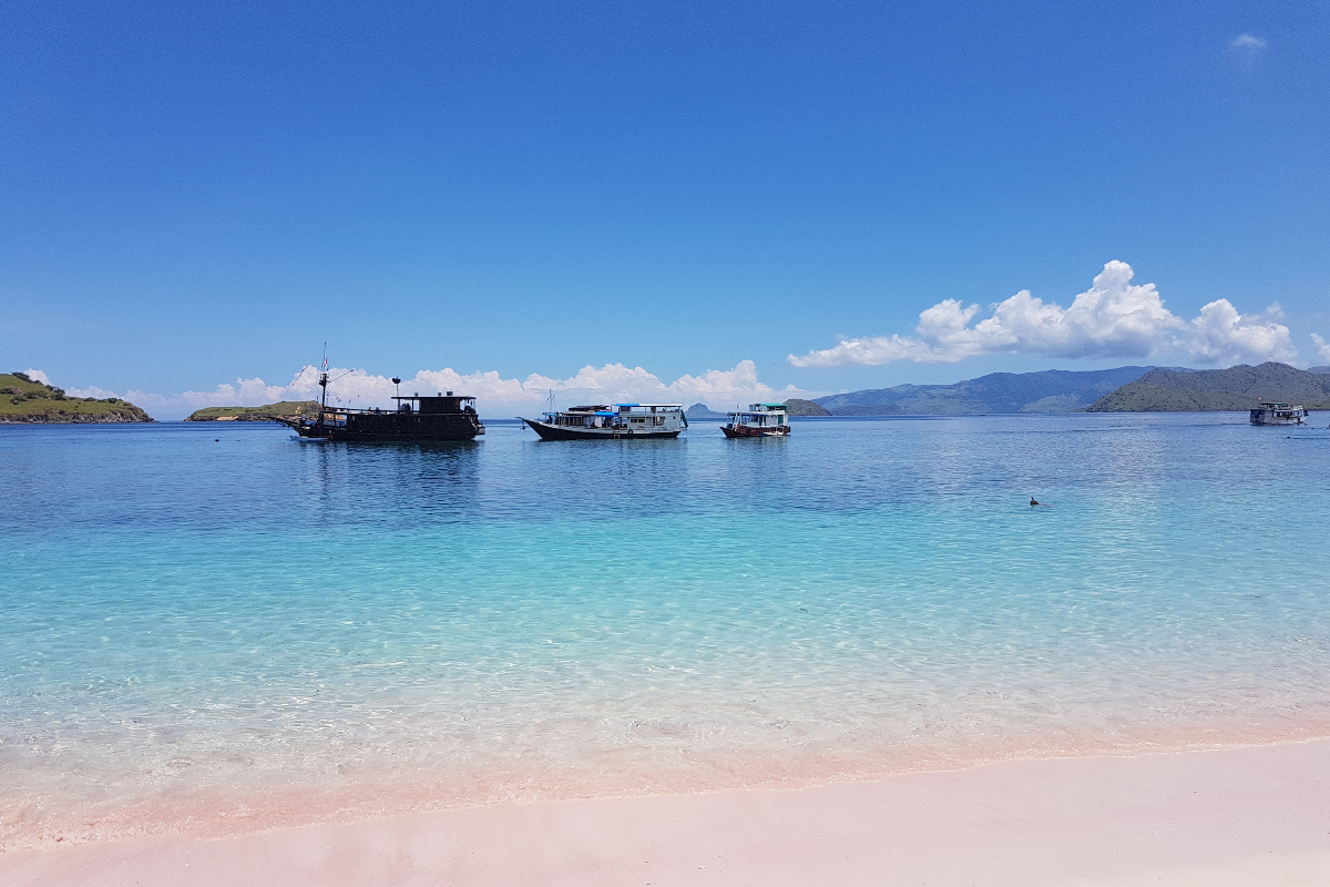 Komodo Pink Beach