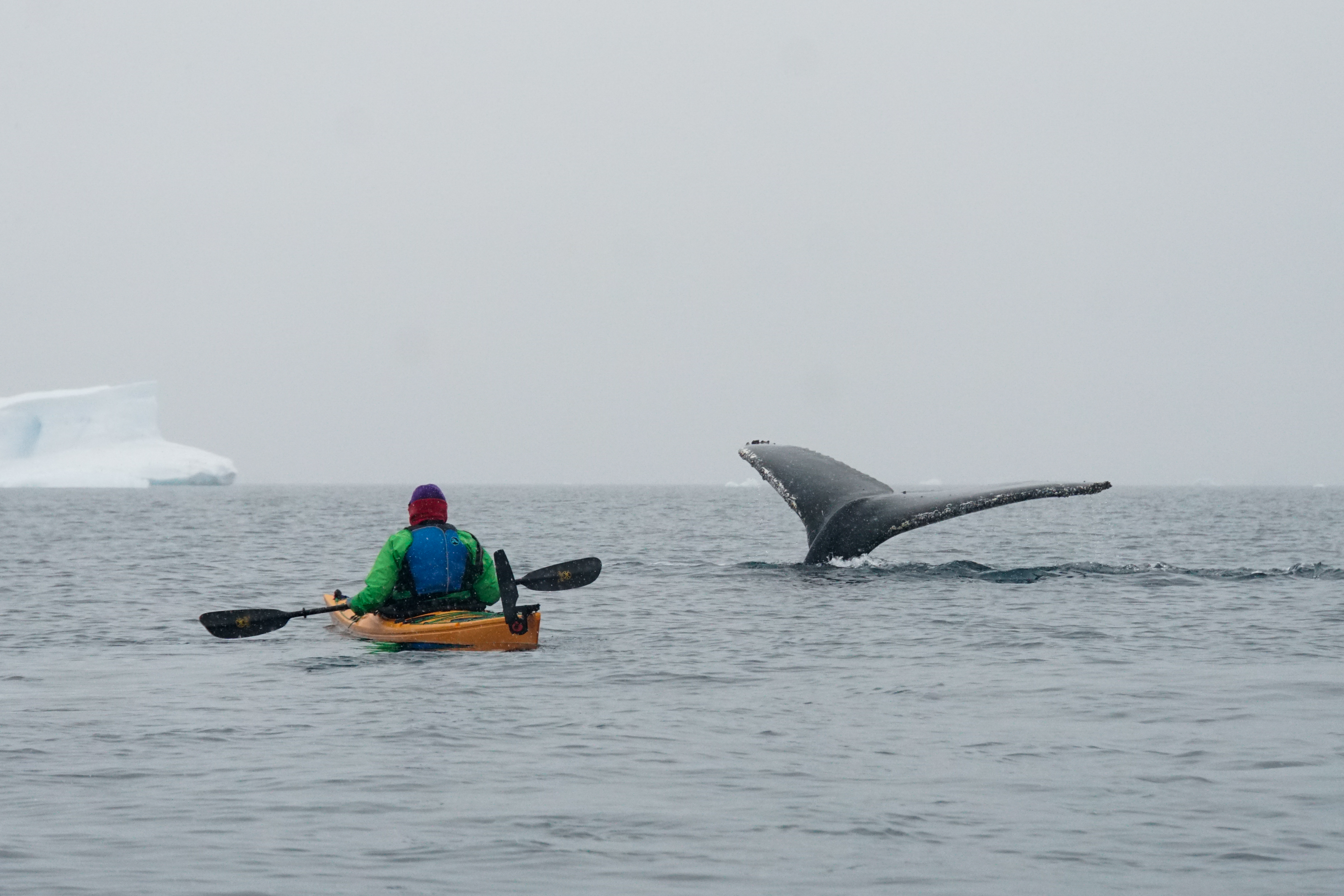 Kayaking on an expedition
