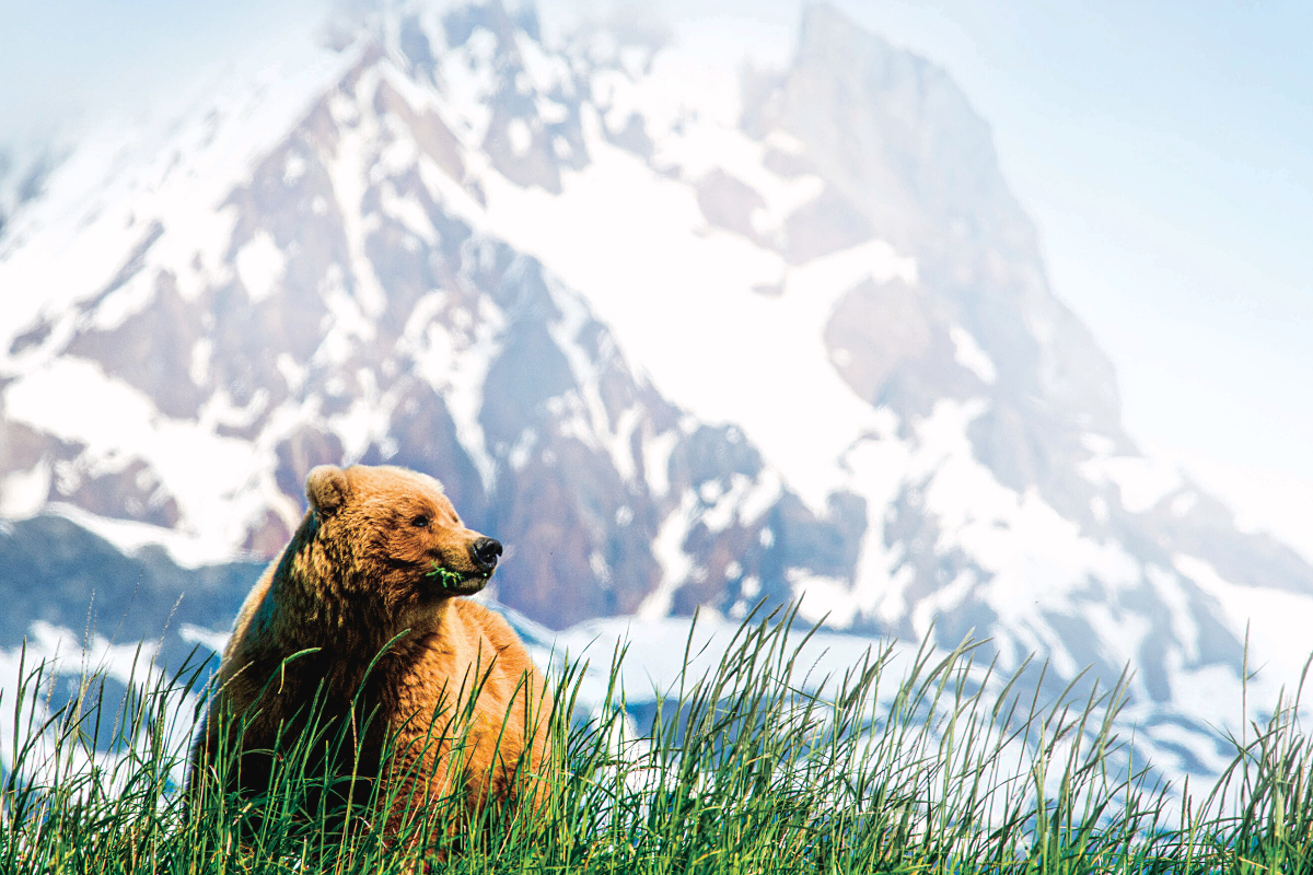 LEX US Alaska Lindblad 5060