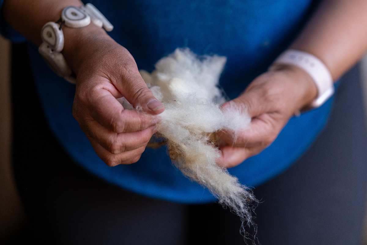 LEX Greenland Kujalleq