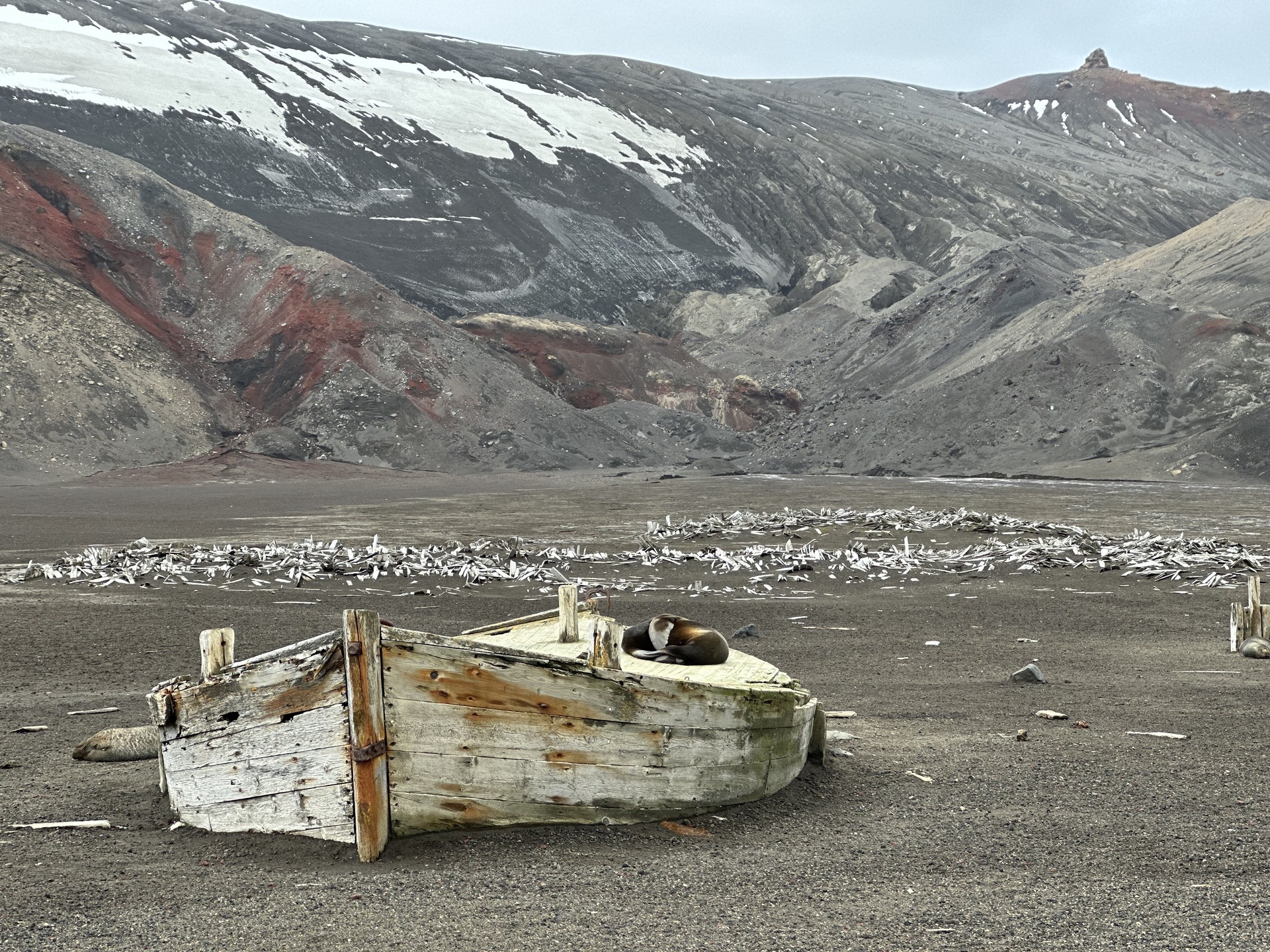 Deception Island: Antarctica’s Volcanic Enigma | ExplorEarth
