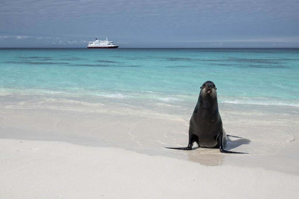 ANDREA KLAUSSNER 20220111 GARDNER BAY ESPANOLA SEA LION 5801 BYANDREAKLAUSSNER