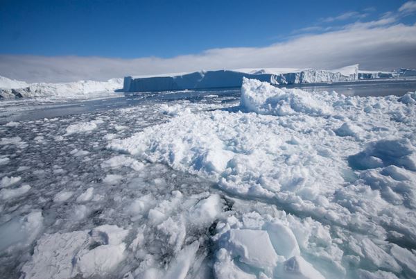 Icebergs in Disko Bay