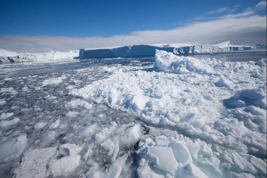 Icebergs in Disko Bay