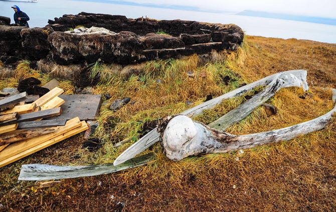 Expedition Guide: Polar History and Culture