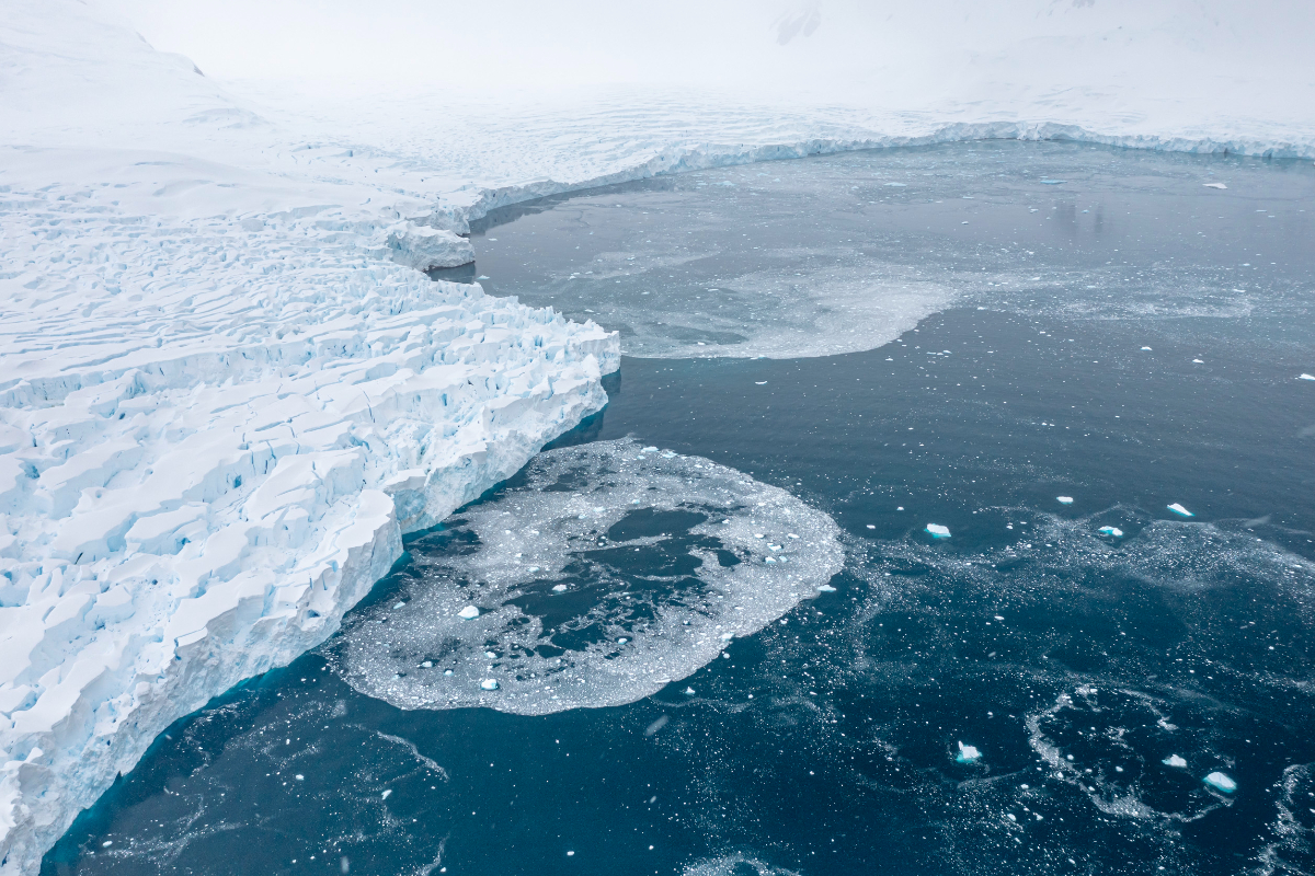 SH Vega Antarctica Borgen Bay