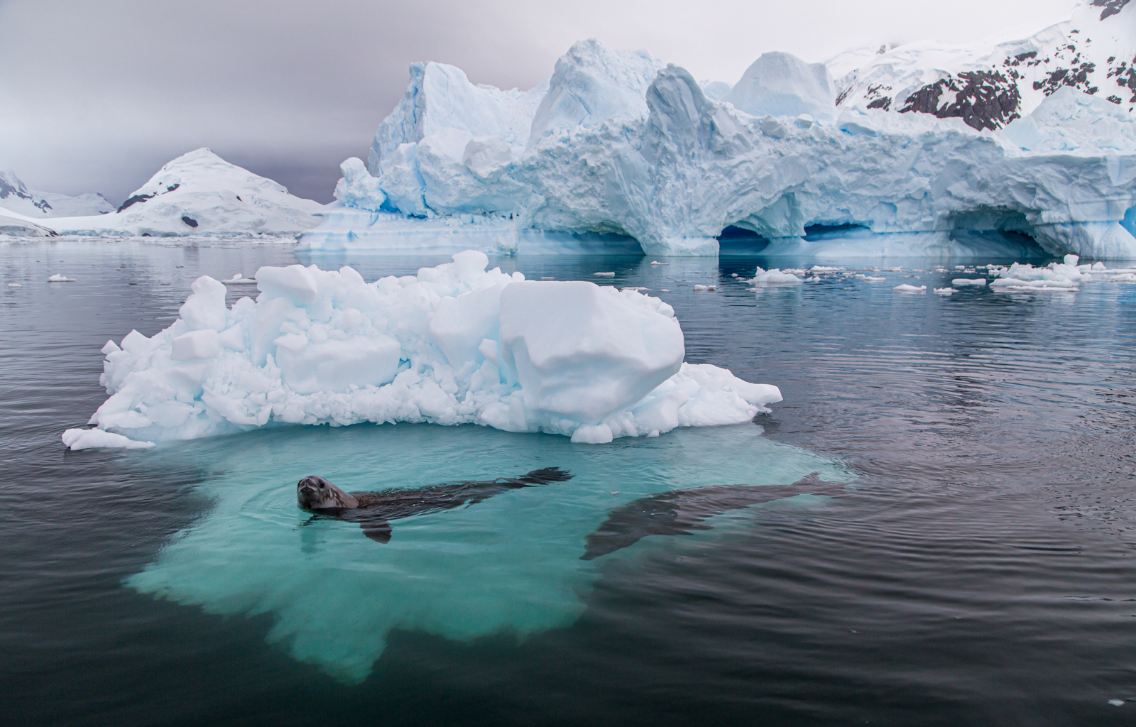 Antarctica20 Jamie Lafferty