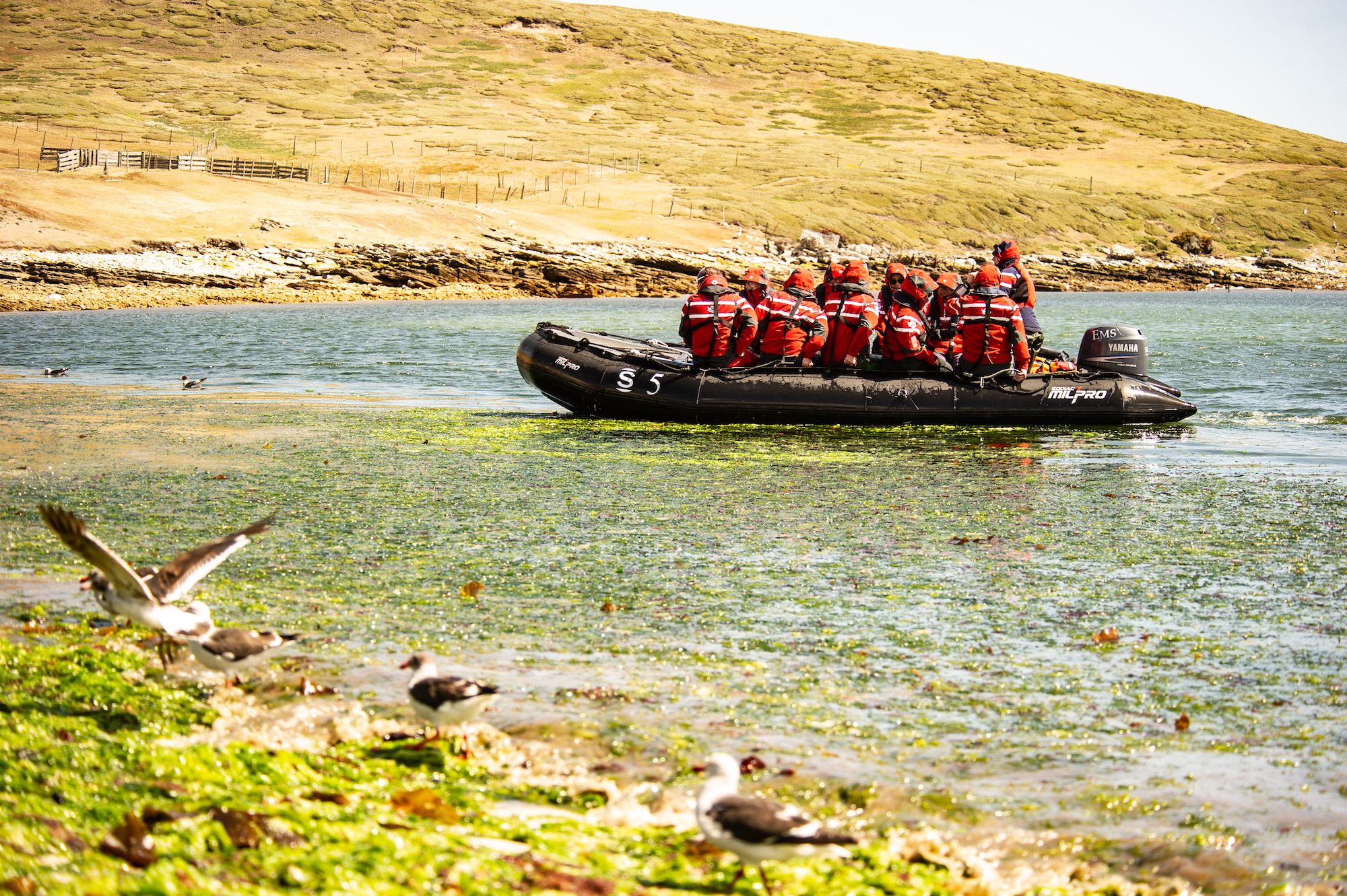 Explore expedition cruise regions and destinations