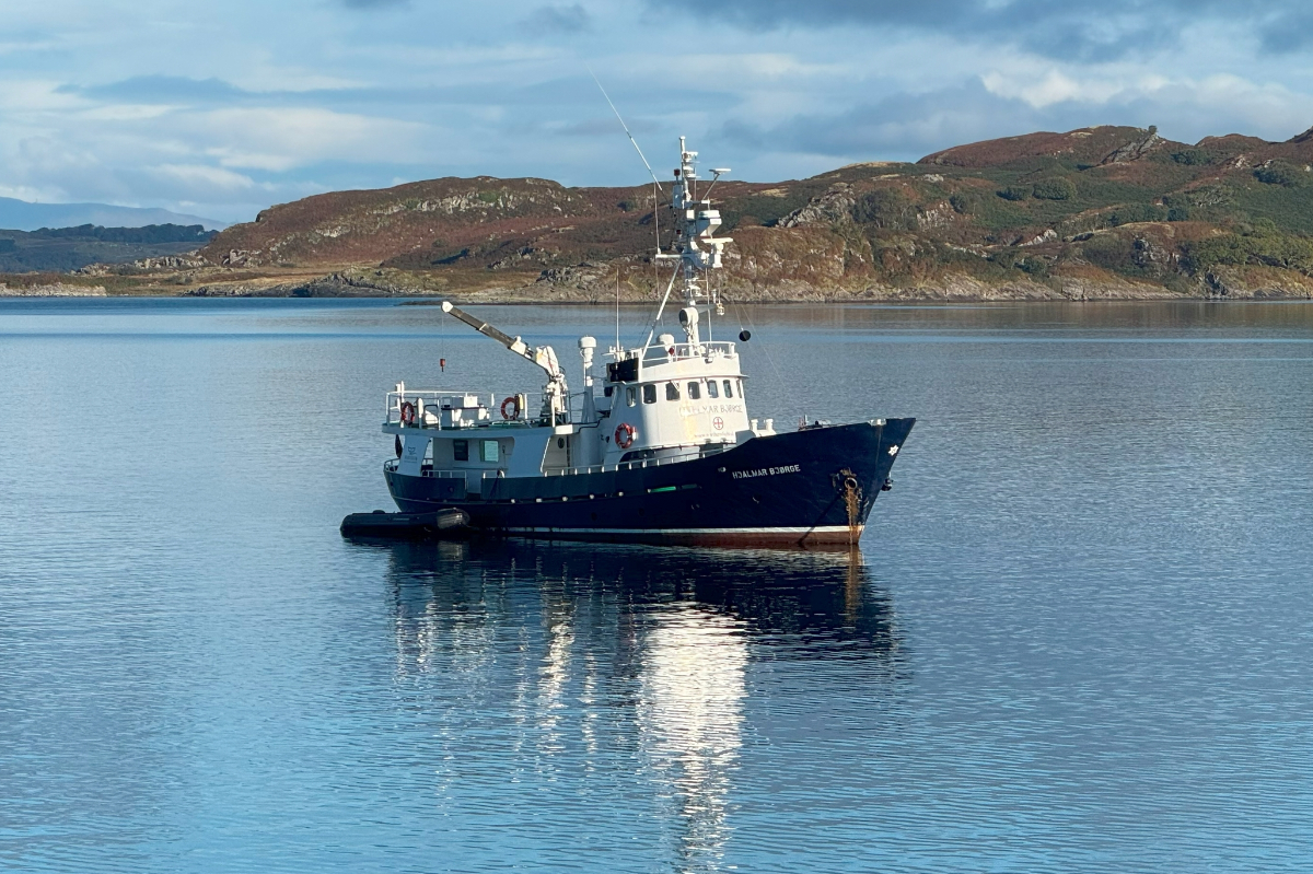 Hjalmar Bjorge Scotland Billy Heaney 1253