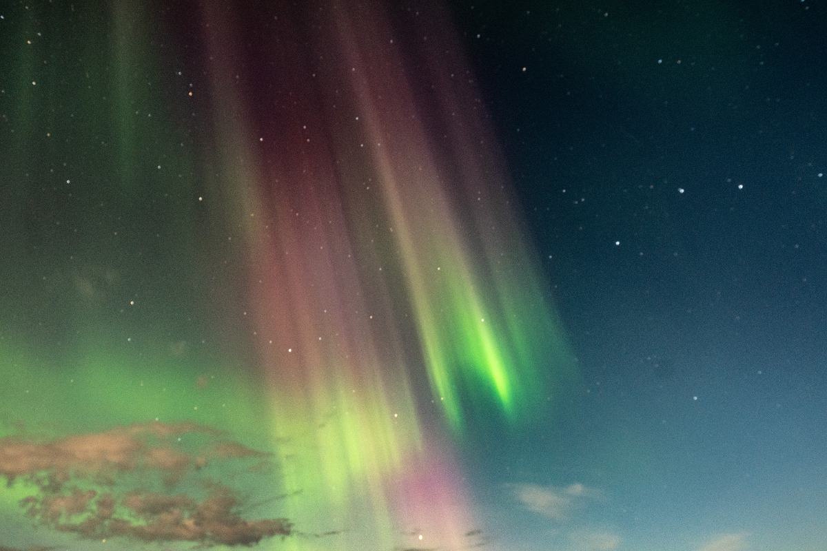 Aurora Borealis Night One 12 1136