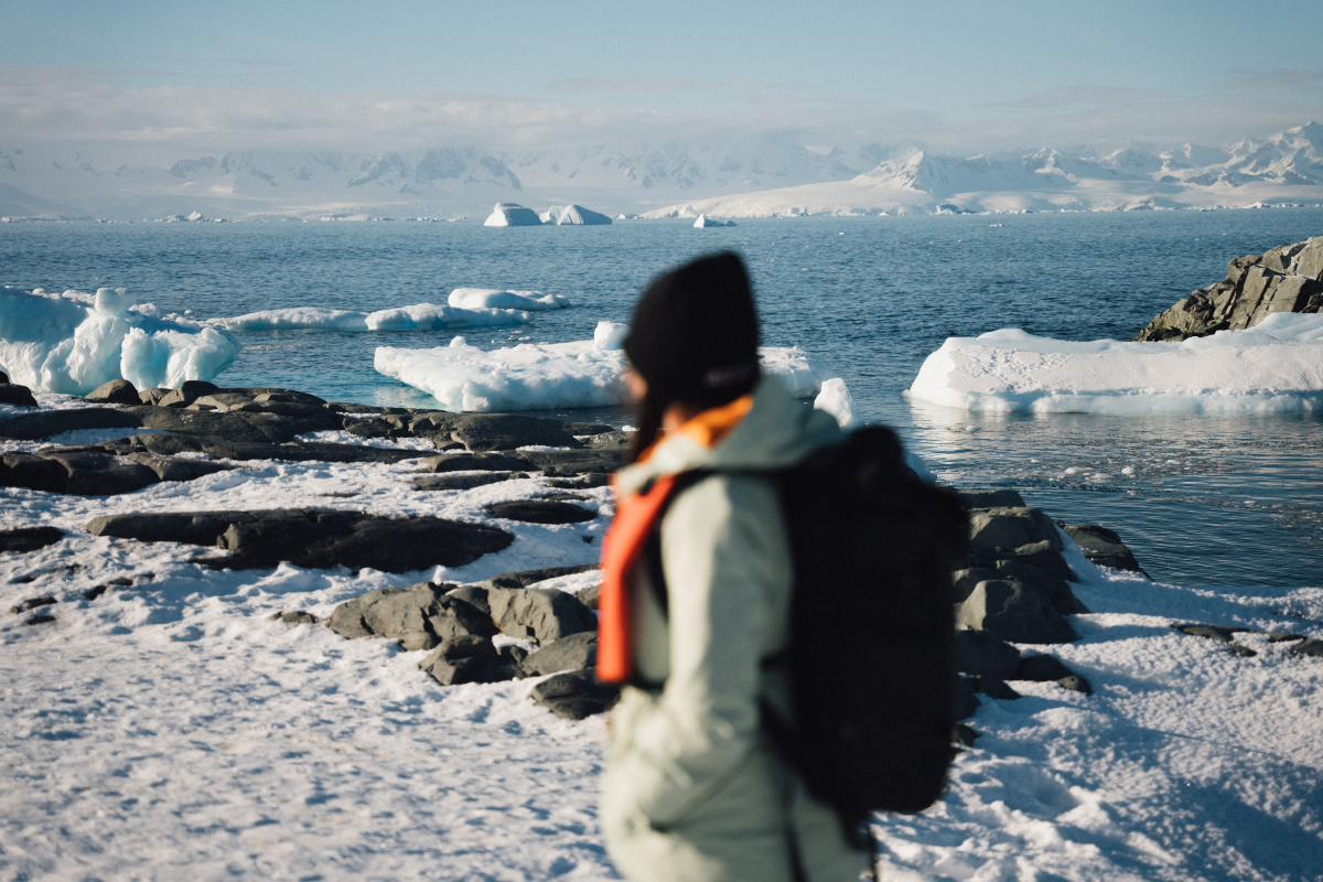 Terra Nova Landing In Antarctica