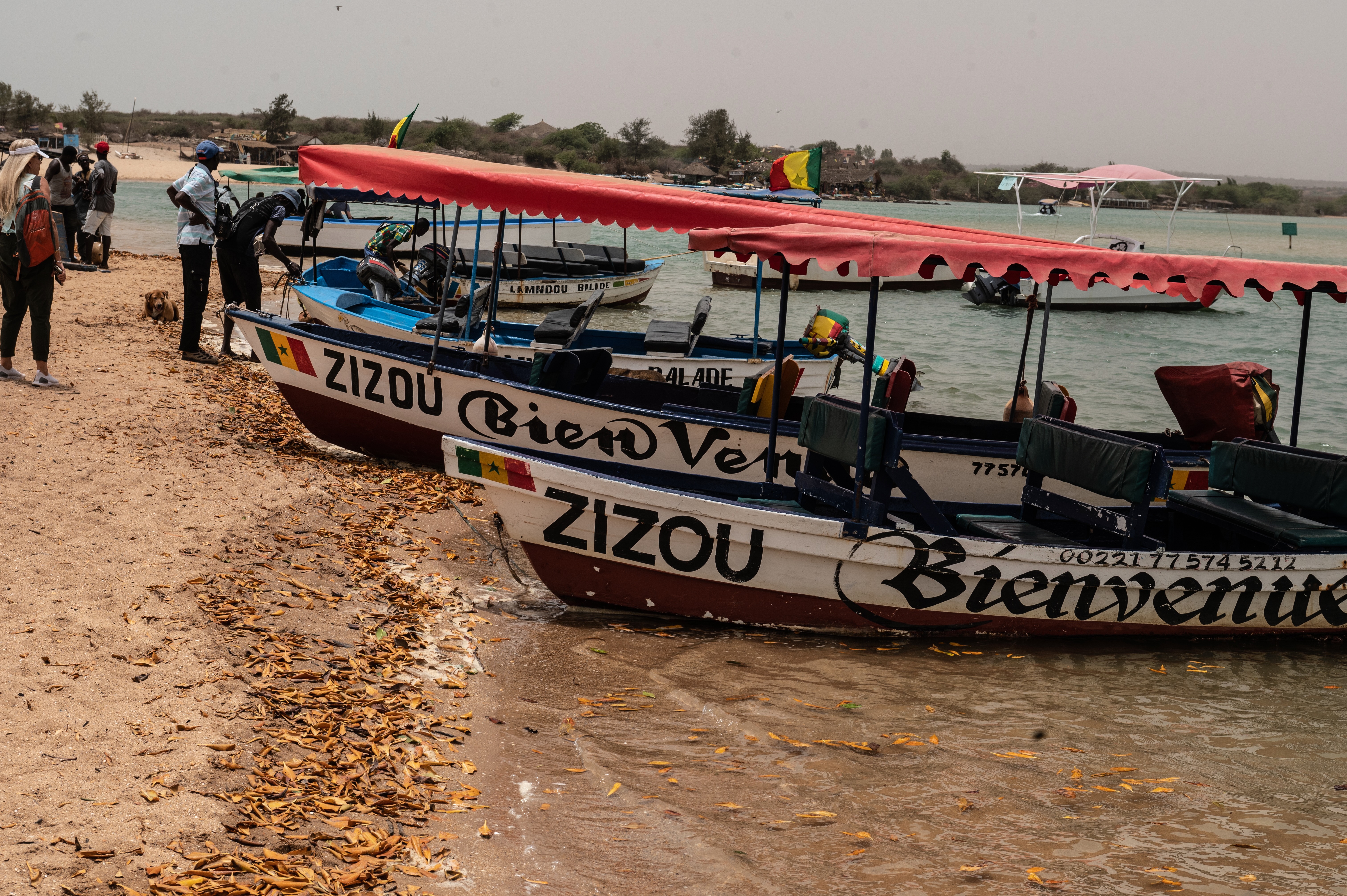 West Africa Senegal Sonome Lagoon Boats Dakar