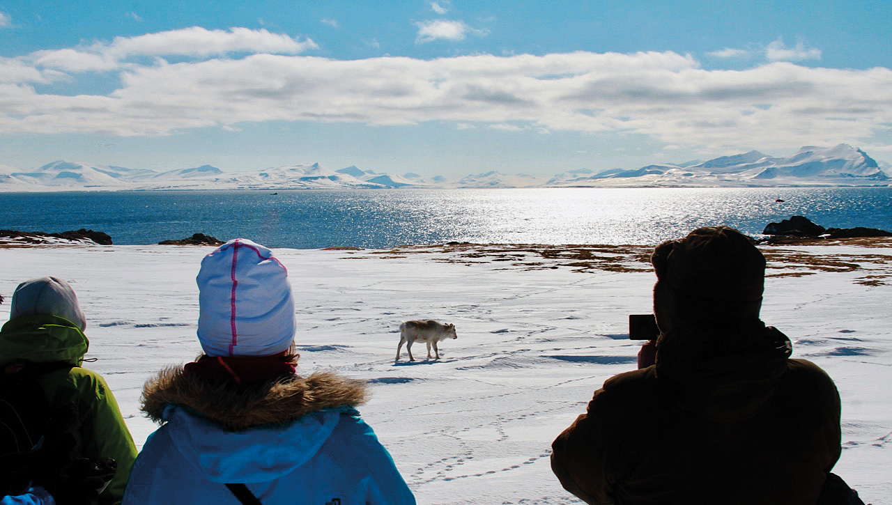 Svalbard Polarquest Copyright Adrian Nordenborg (1) 5798