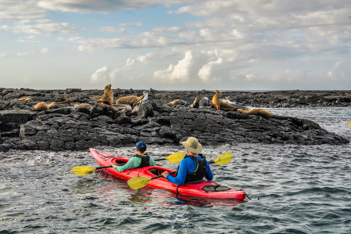 LEX Ecuador Galapagos Islands Floreana Island