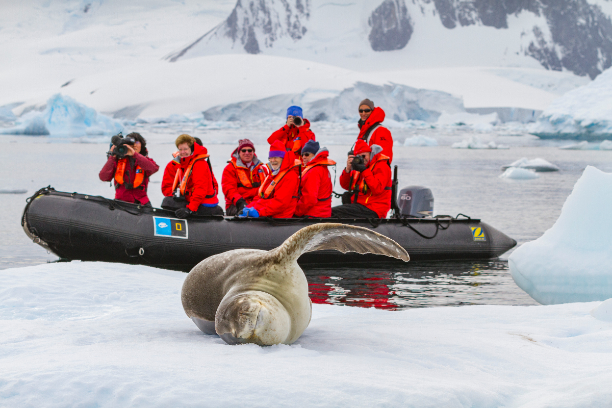 LEX Antarctica Brown Bluff