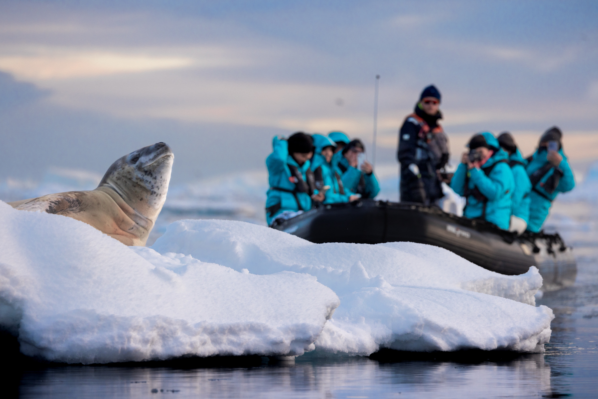 Swan Hellenic Fournier Bay