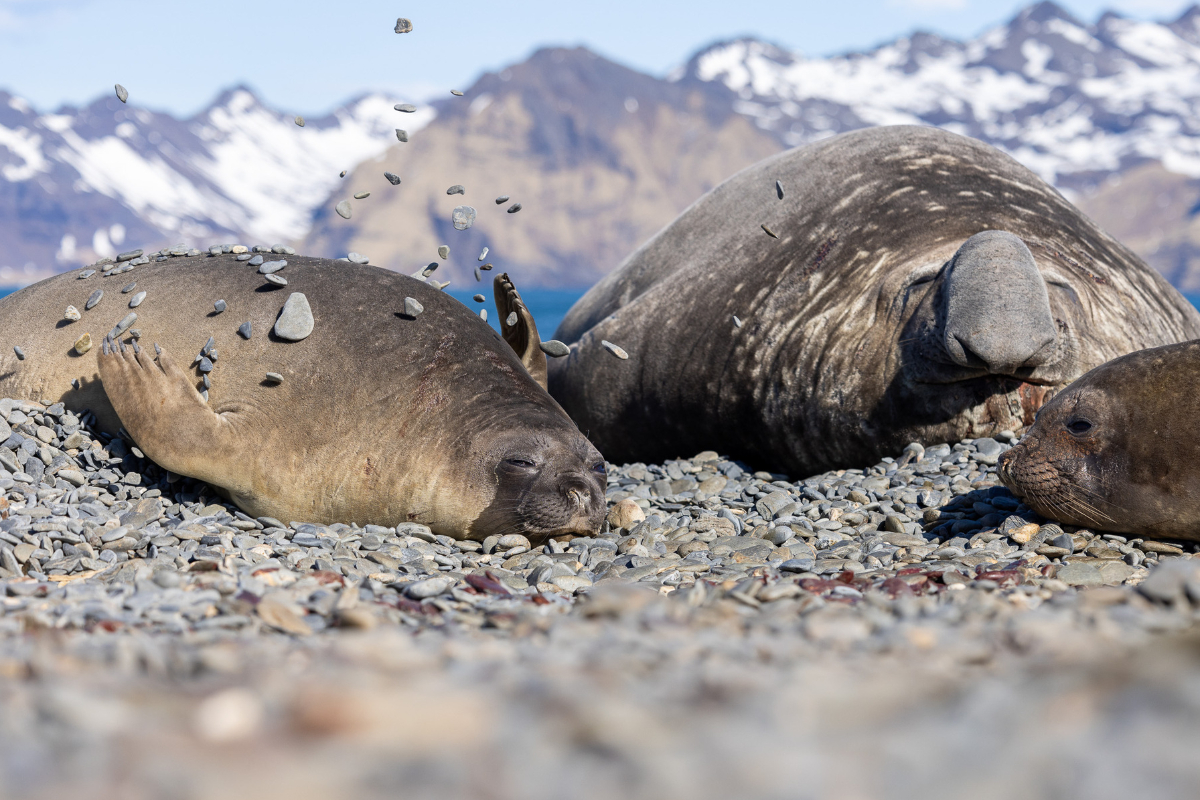 Poseidon Expeditions PIET VAN DEN BEMD (1)