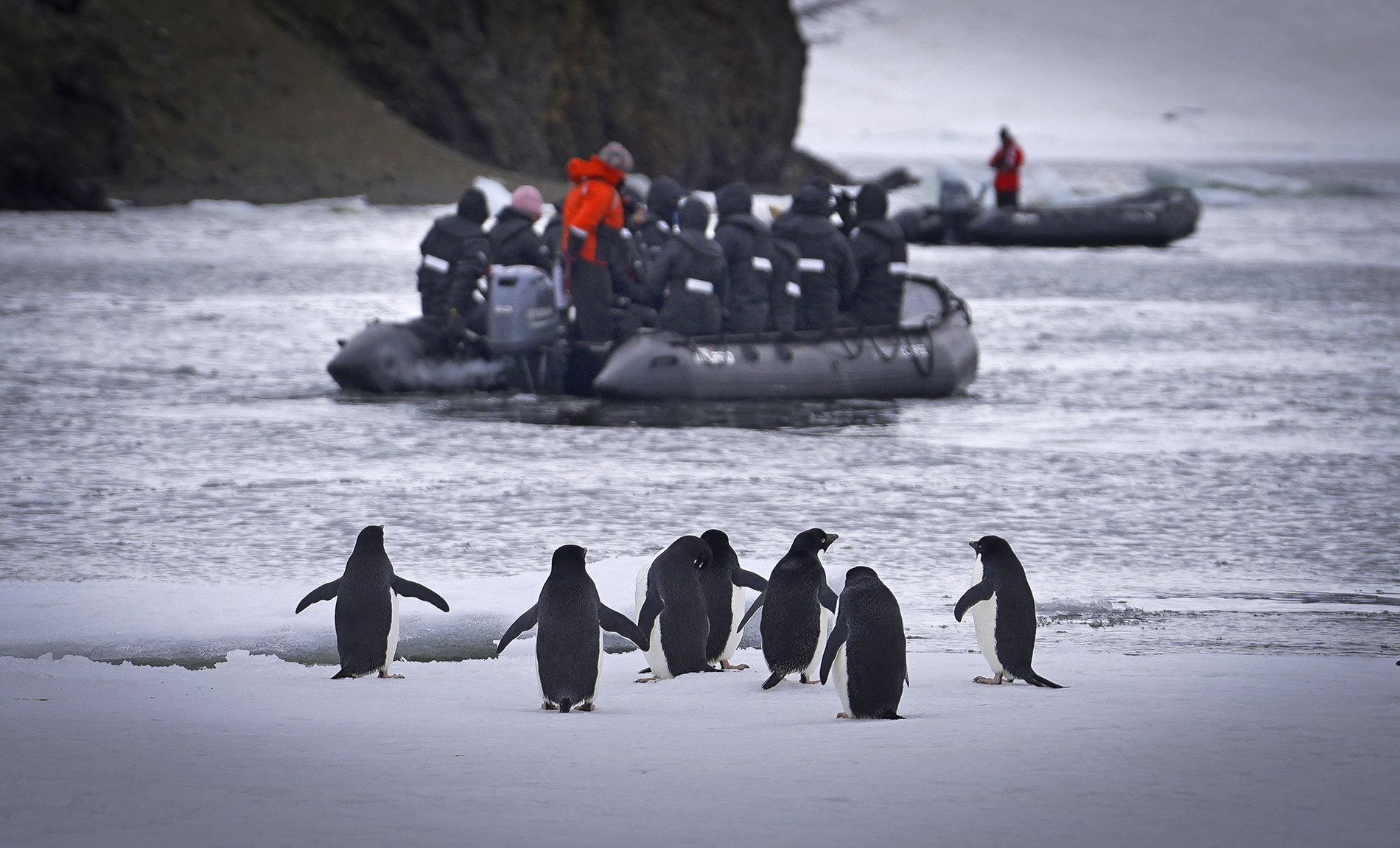 Scenic Eclipse Antarctic Pensisula Zodiac - Niko Paulin (1)