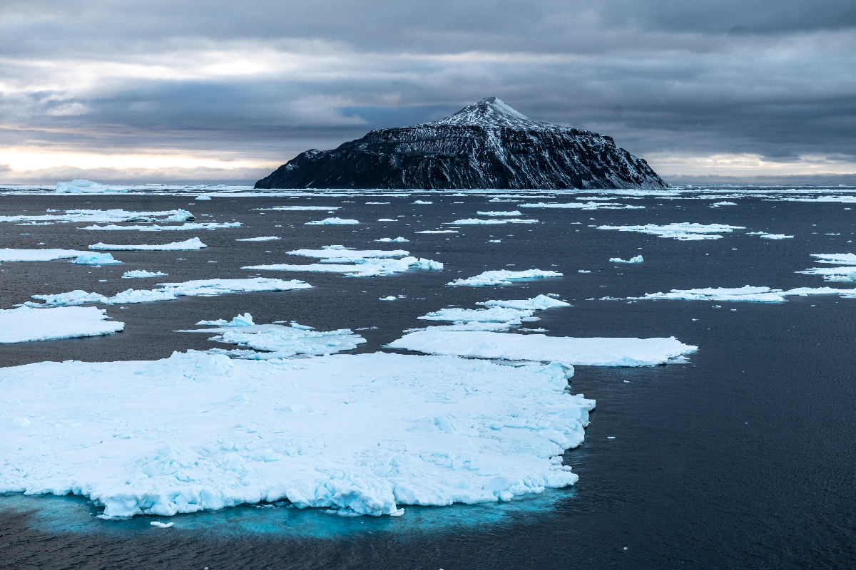 Weddell Sea Paulet Island. Jpg Copy
